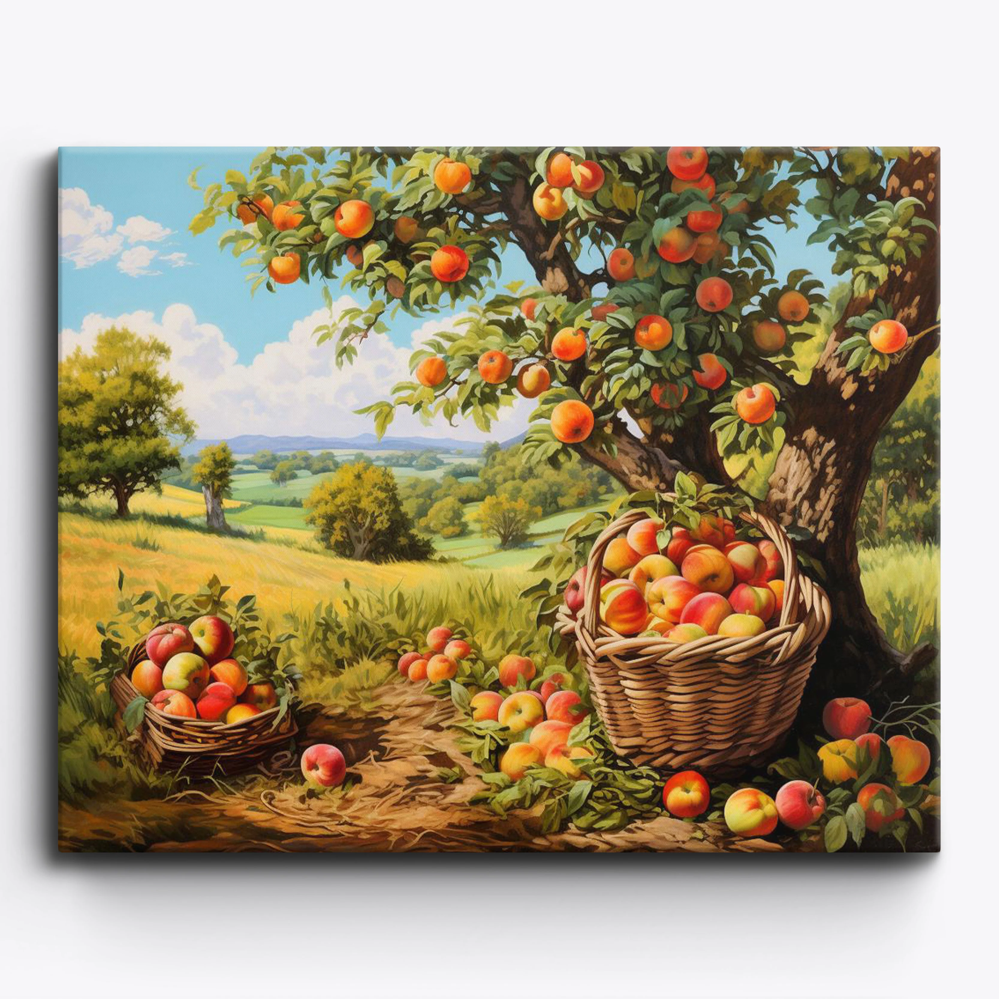 Apple Orchard