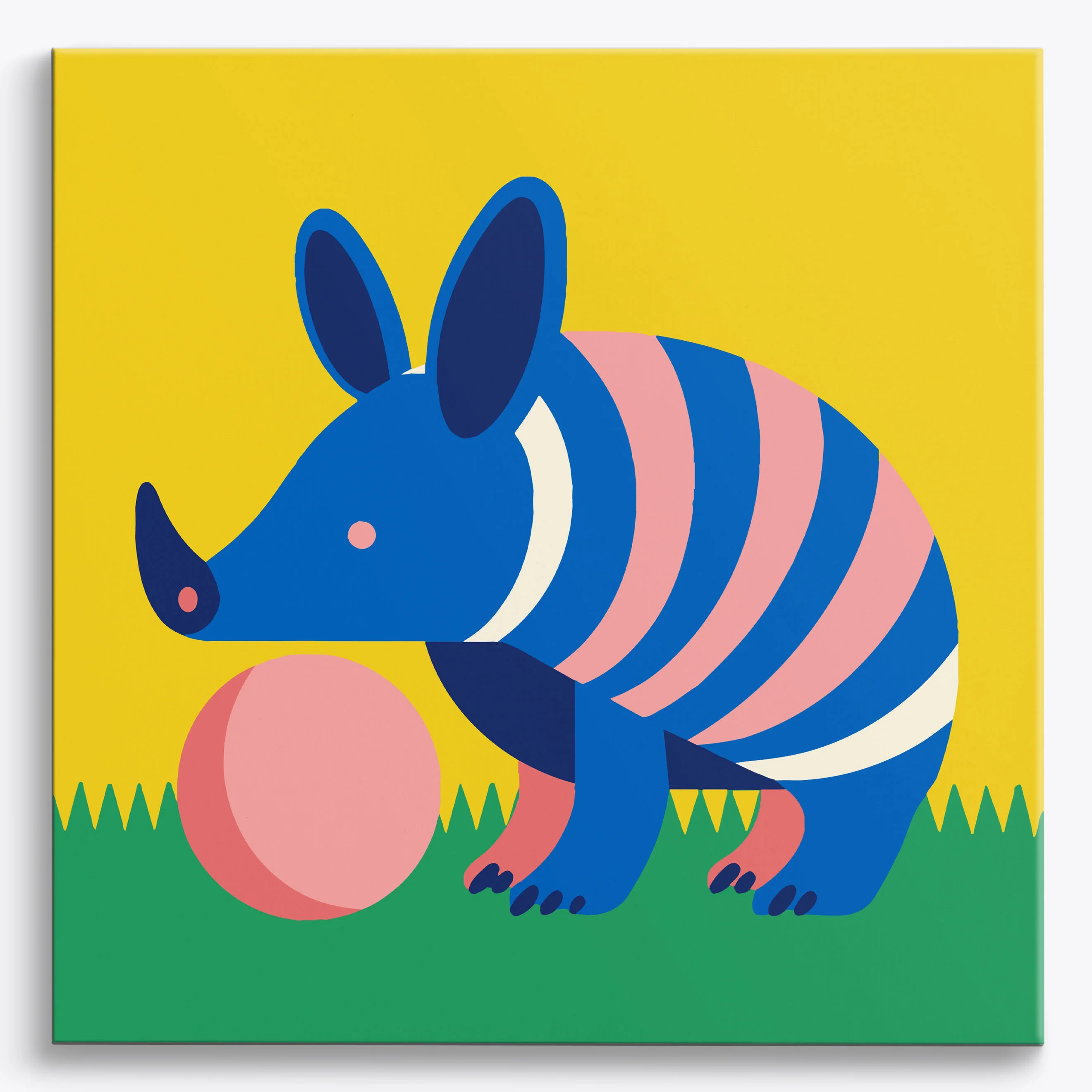 Armadillo Fun