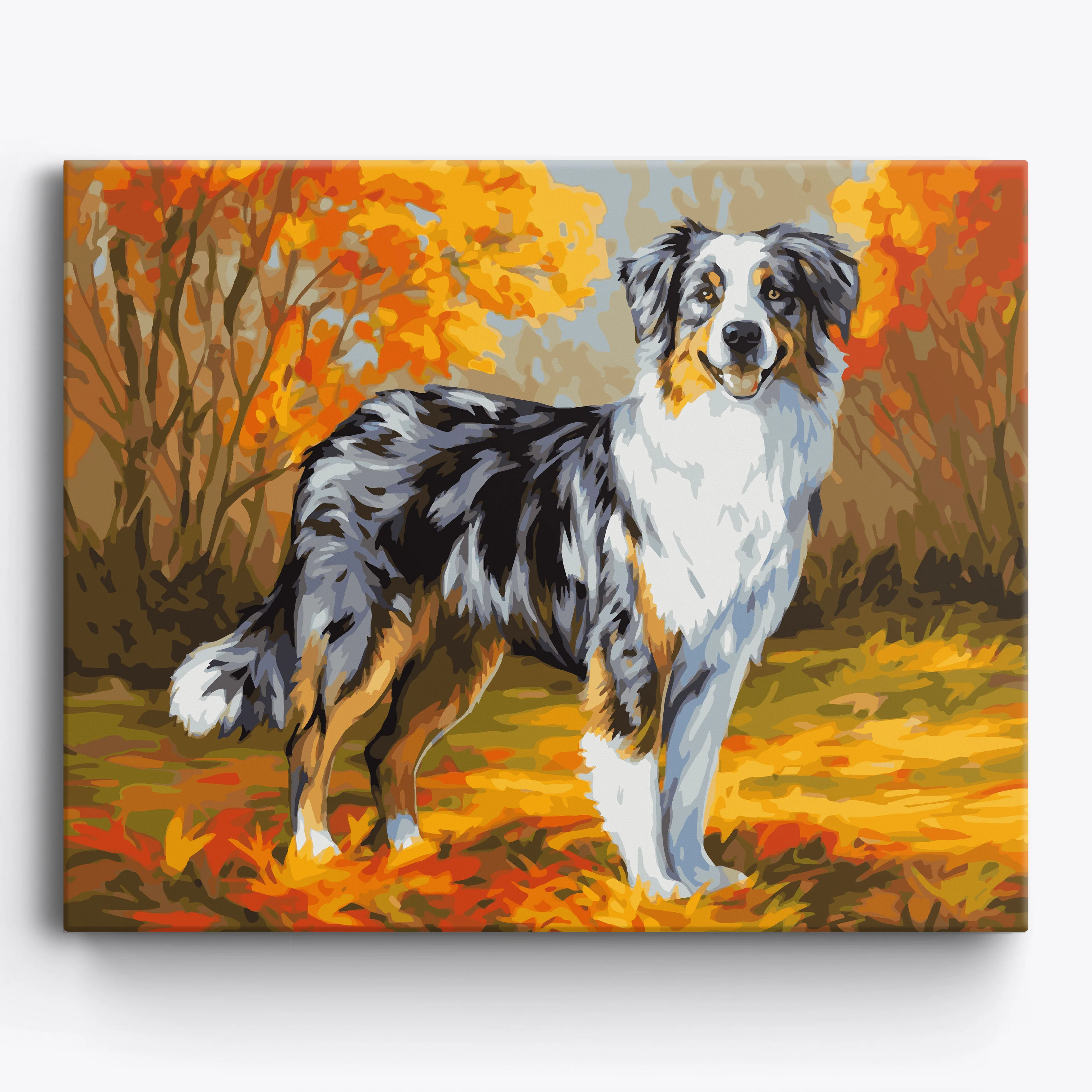 Autumn Australian Shepherd