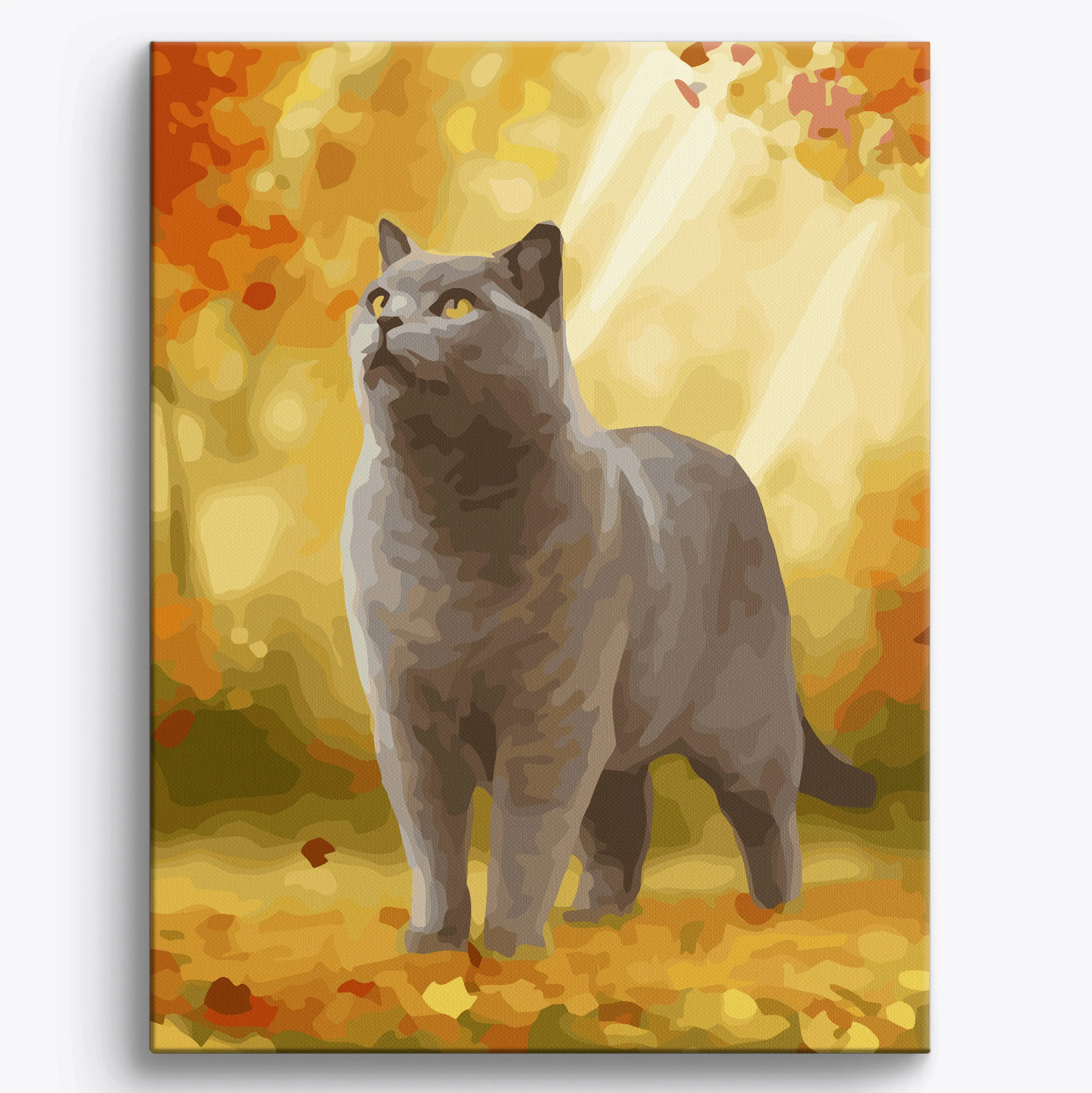 Autumn British Shorthair