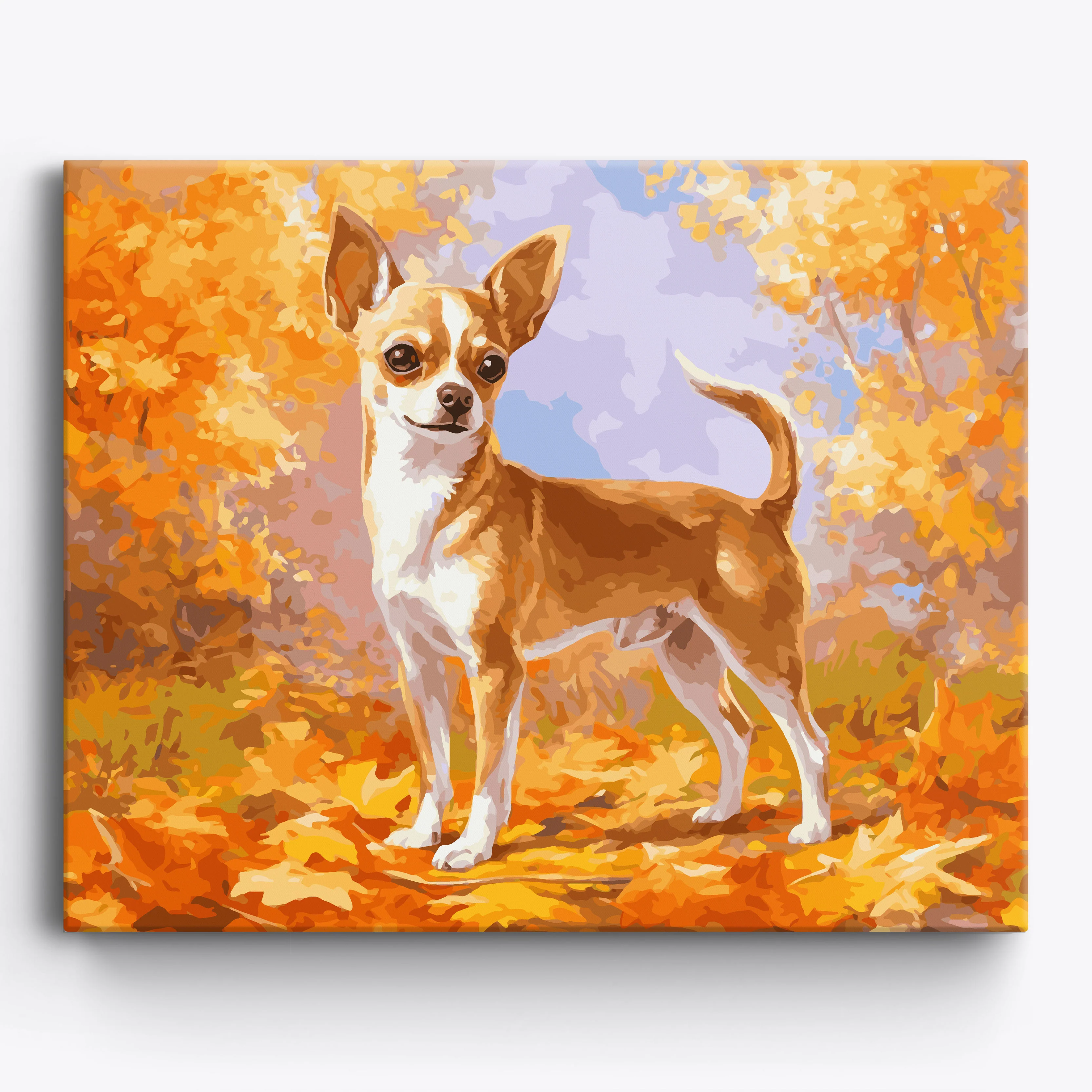 Autumn Chihuahua