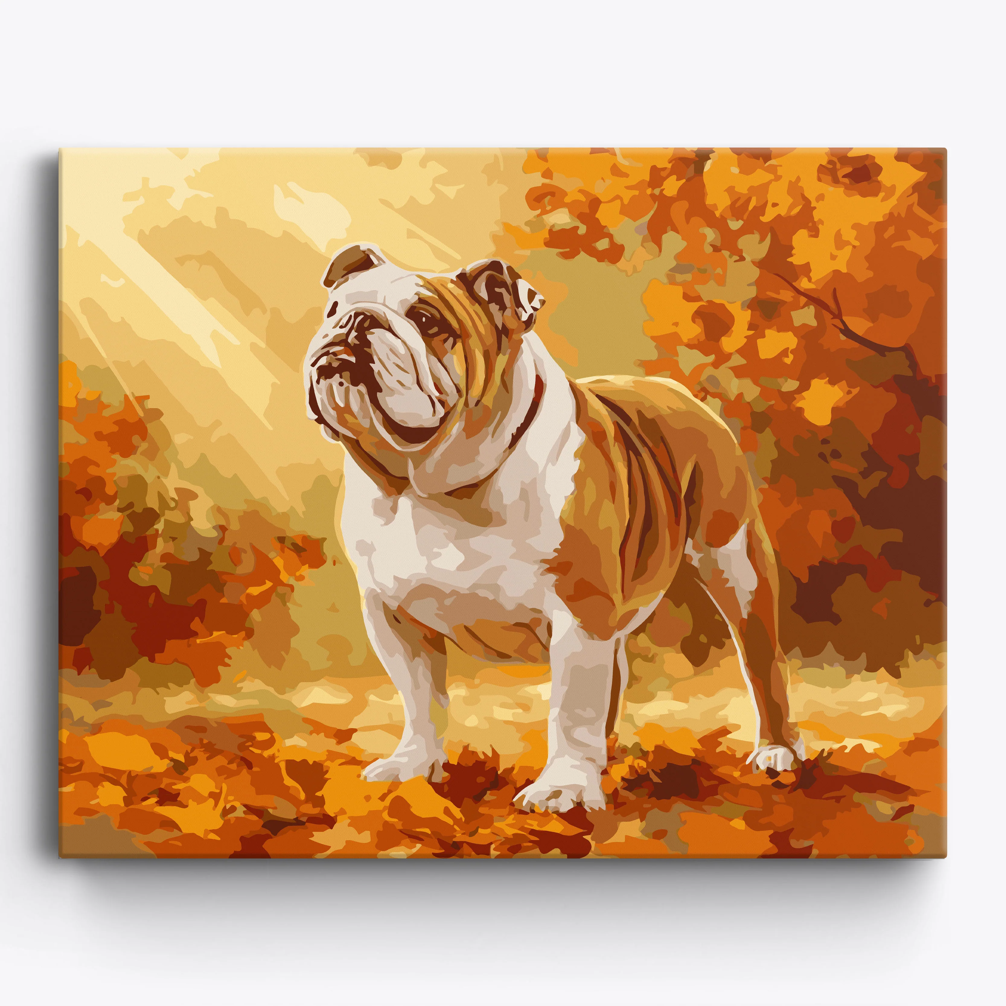 Autumn English Bulldog - Image 2