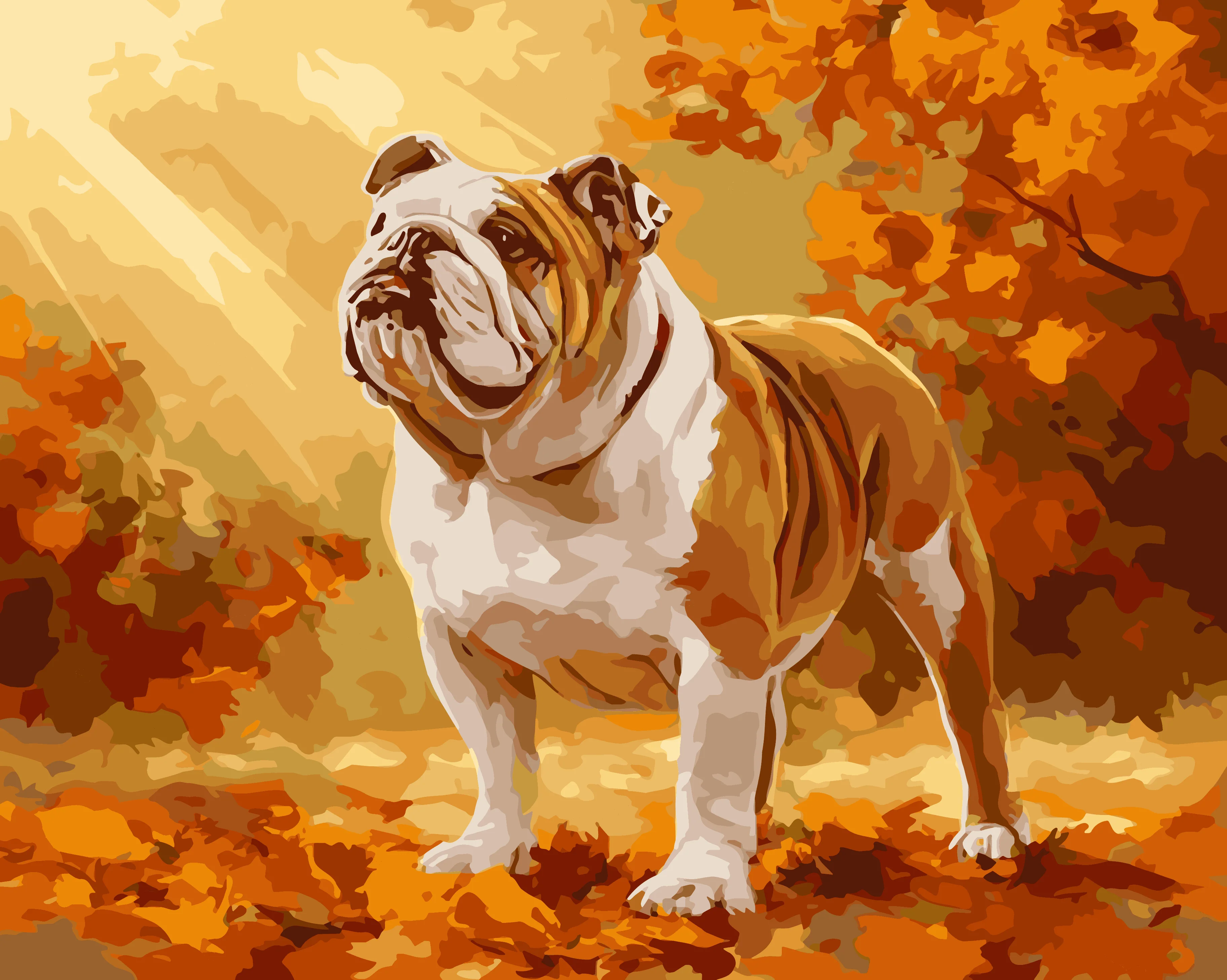 Autumn English Bulldog - Image 3
