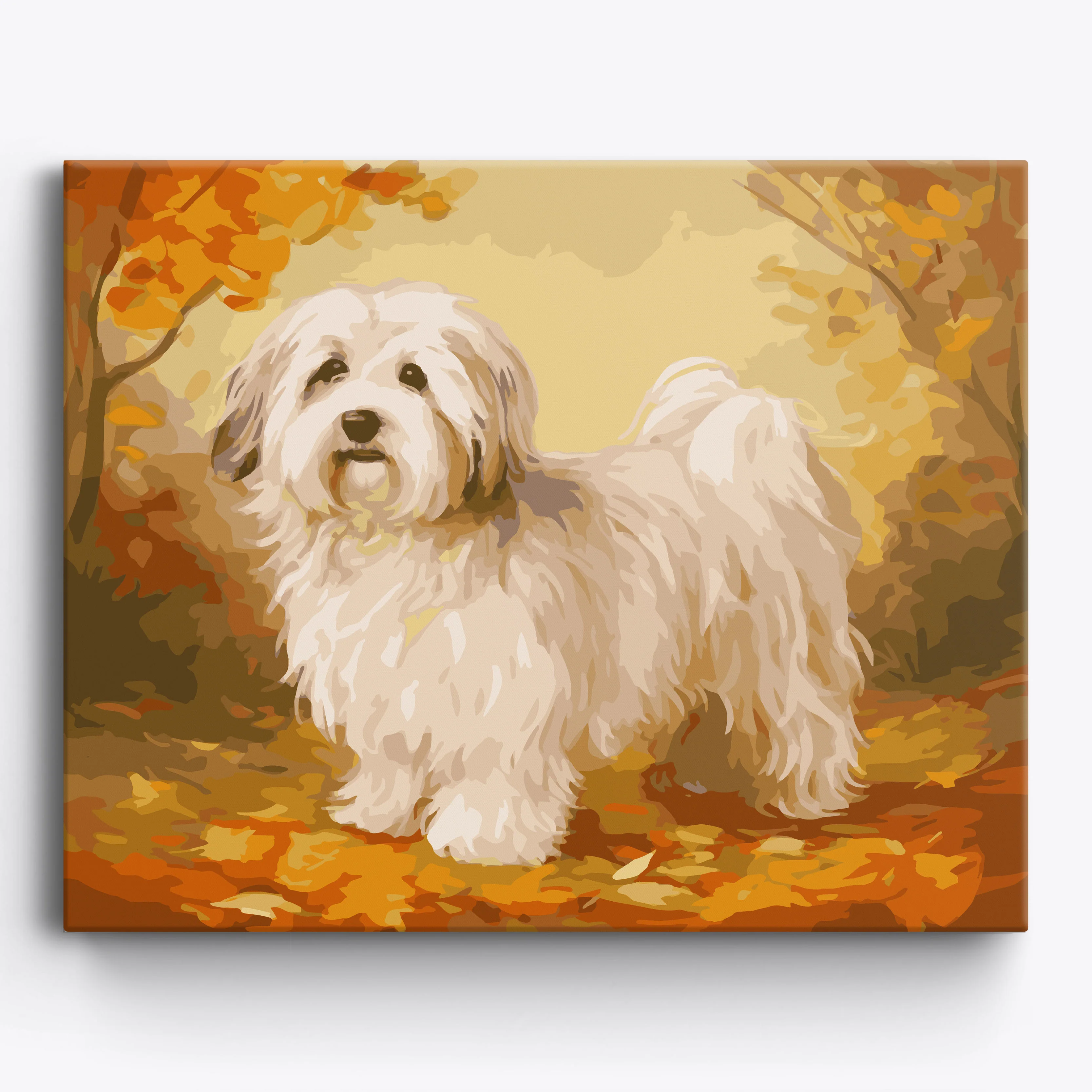 Havanese Portrait - Image 2