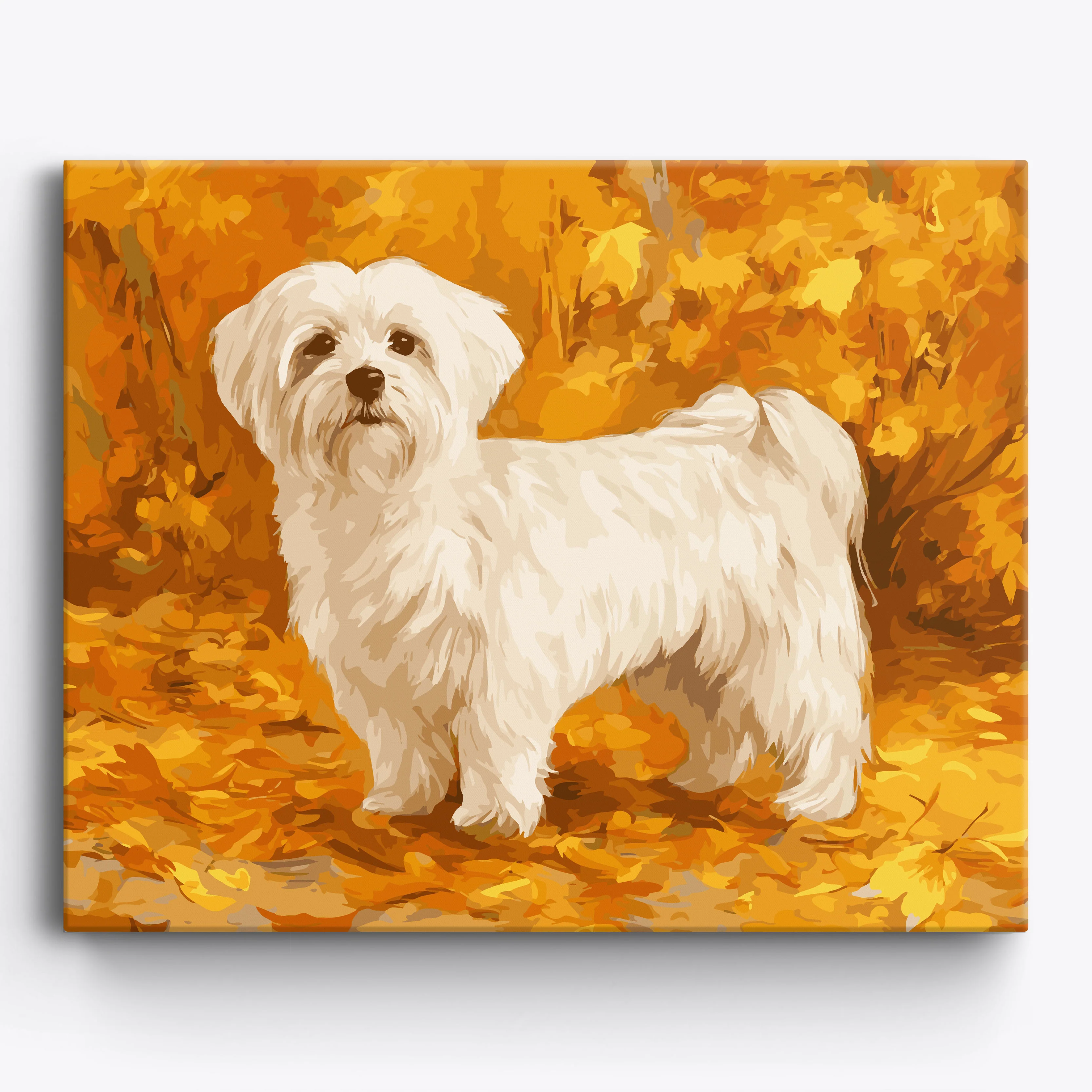 Fall Maltese - Image 2