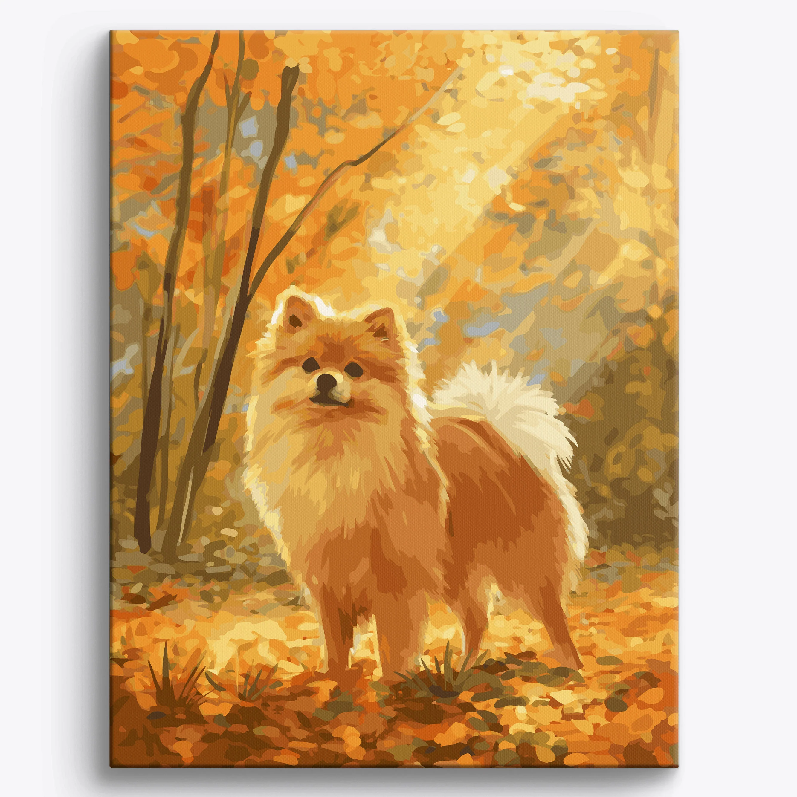 Pomeranian Fall - Image 2