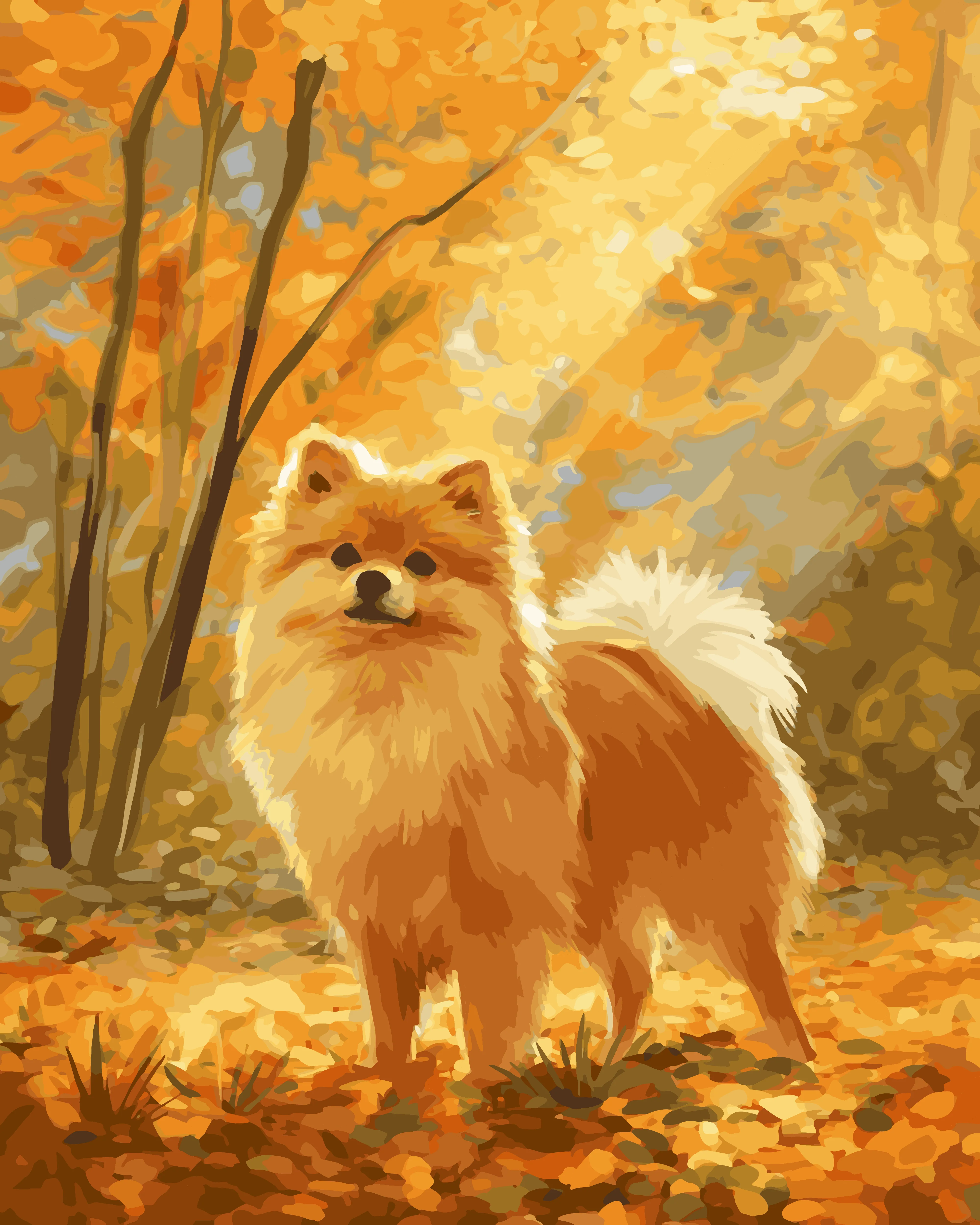 Pomeranian Fall - Image 3