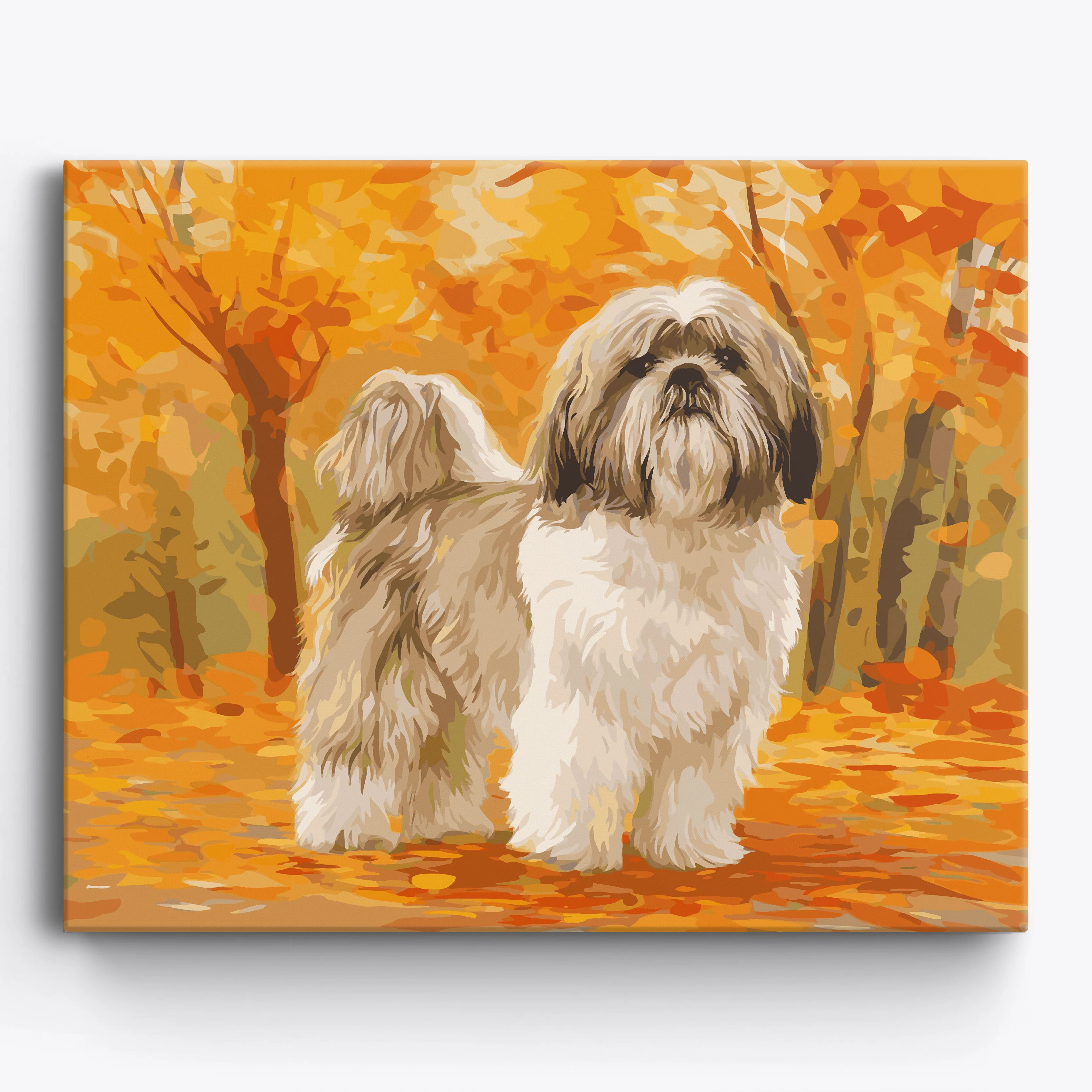 Shih Tzu Stroll