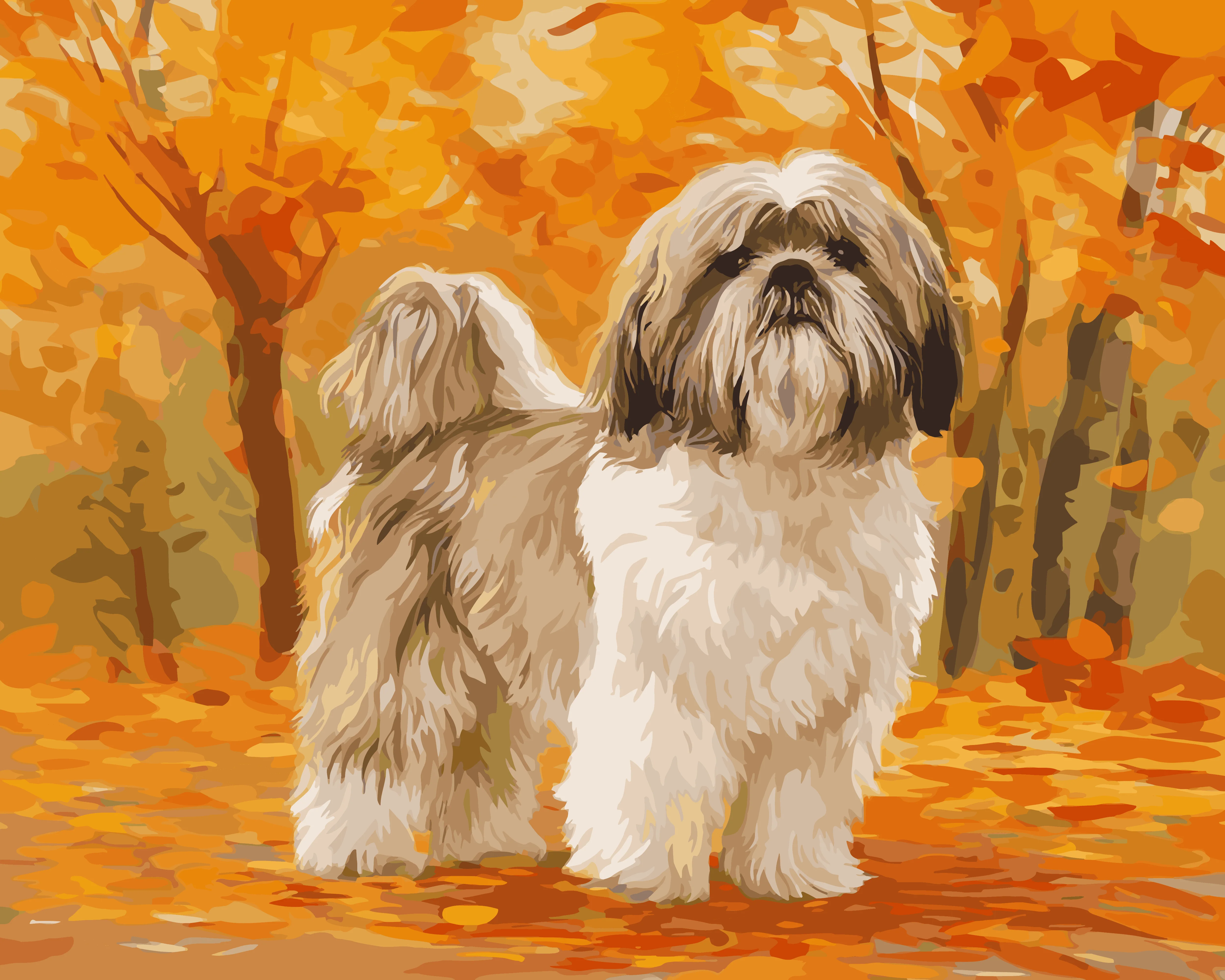 Shih Tzu Stroll - Image 3
