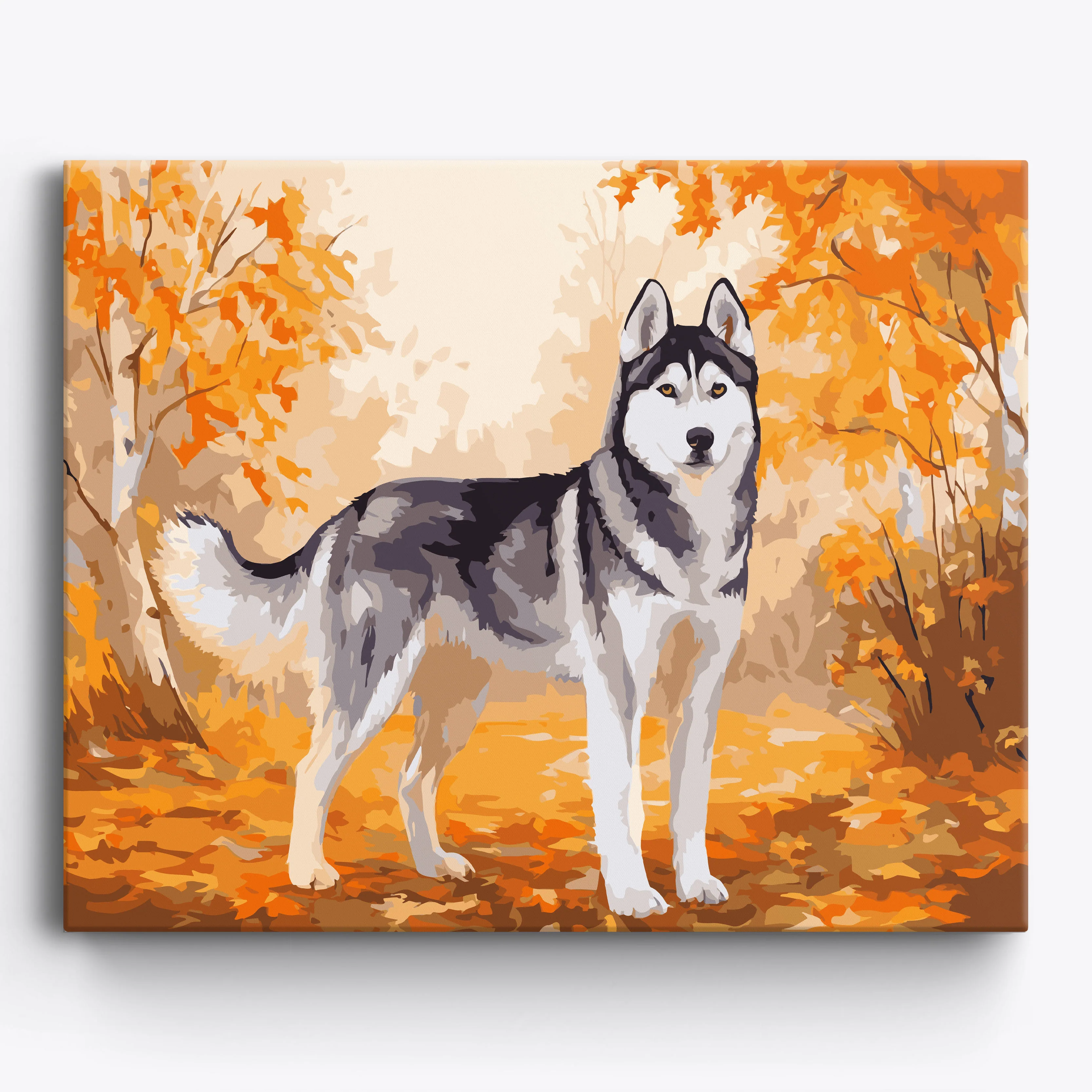 Fall Husky