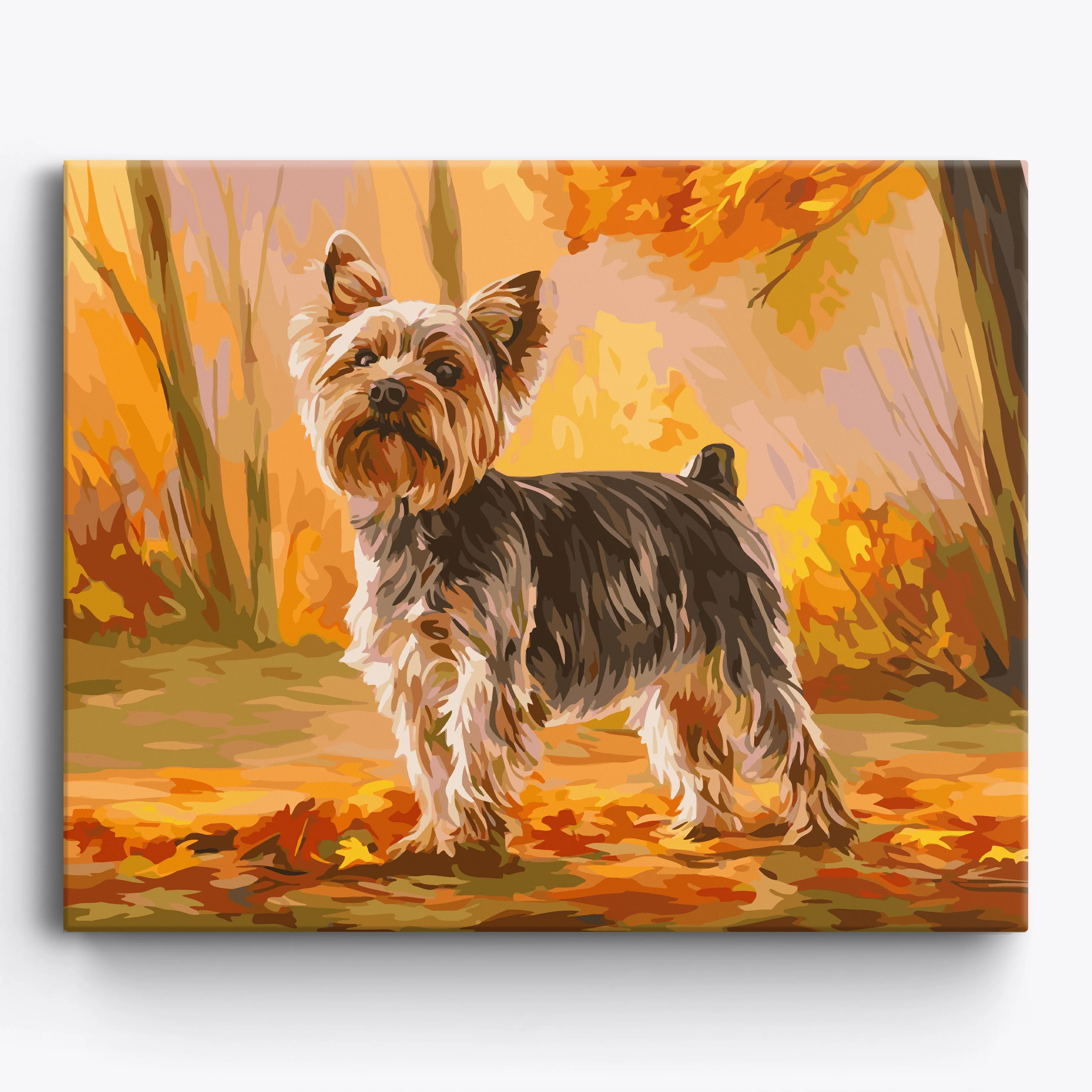 Proud Yorkshire Terrier - Image 2
