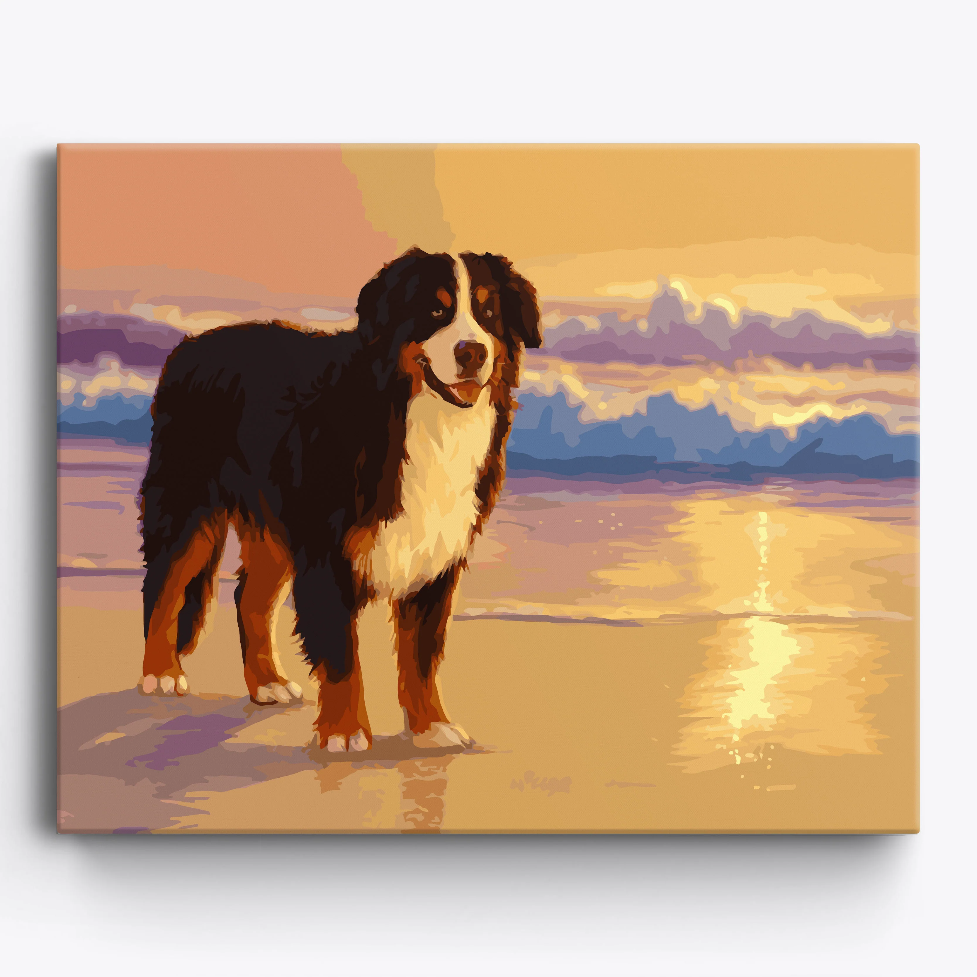 Bernese Beach