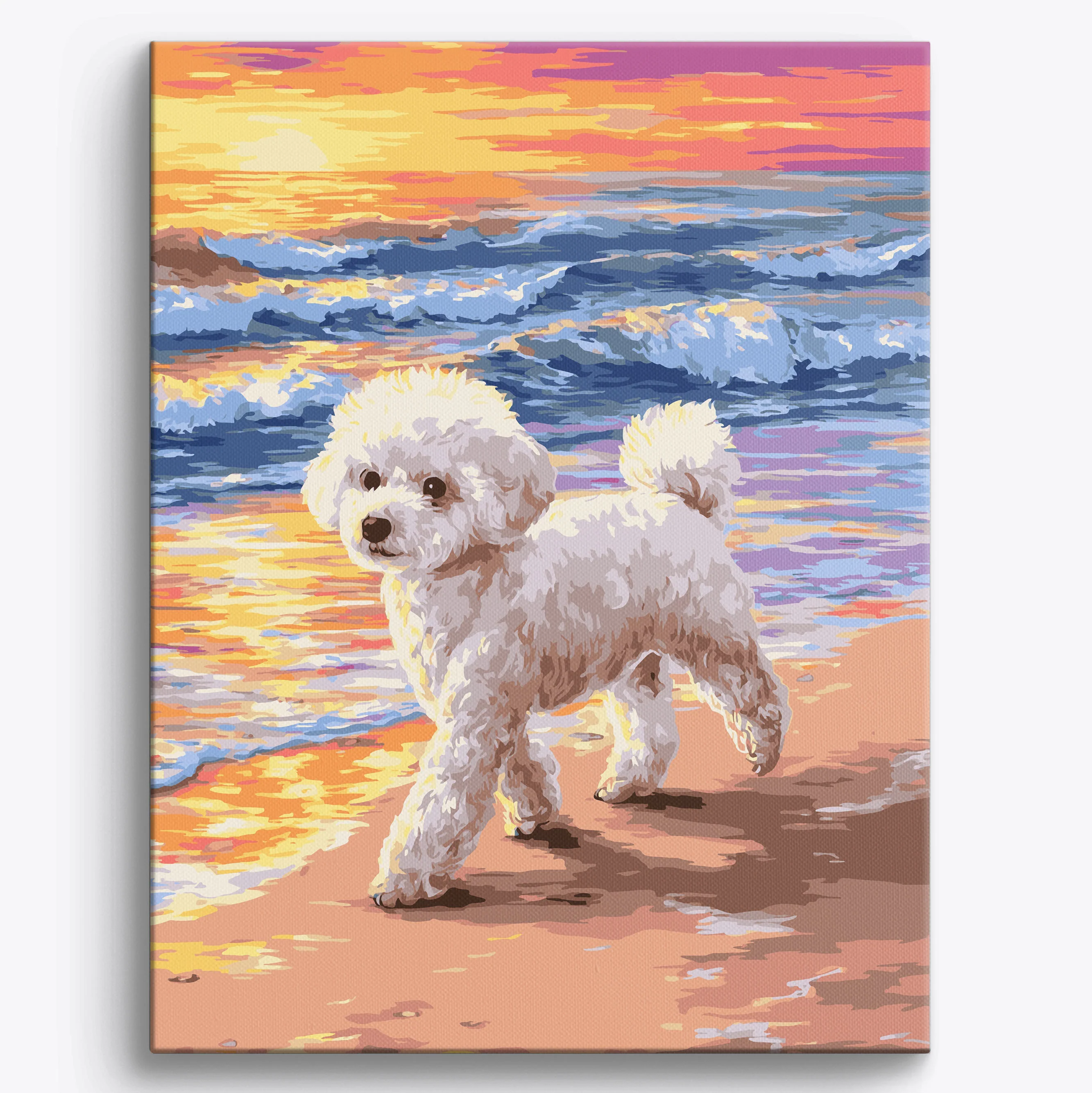 Bichon Frise Beach