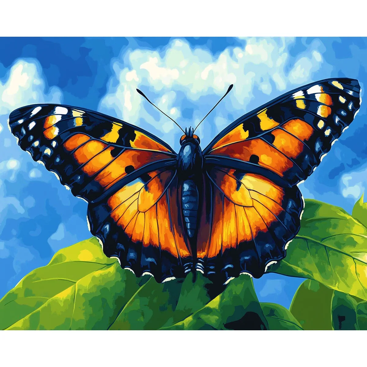 Bold Beauty - Image 2