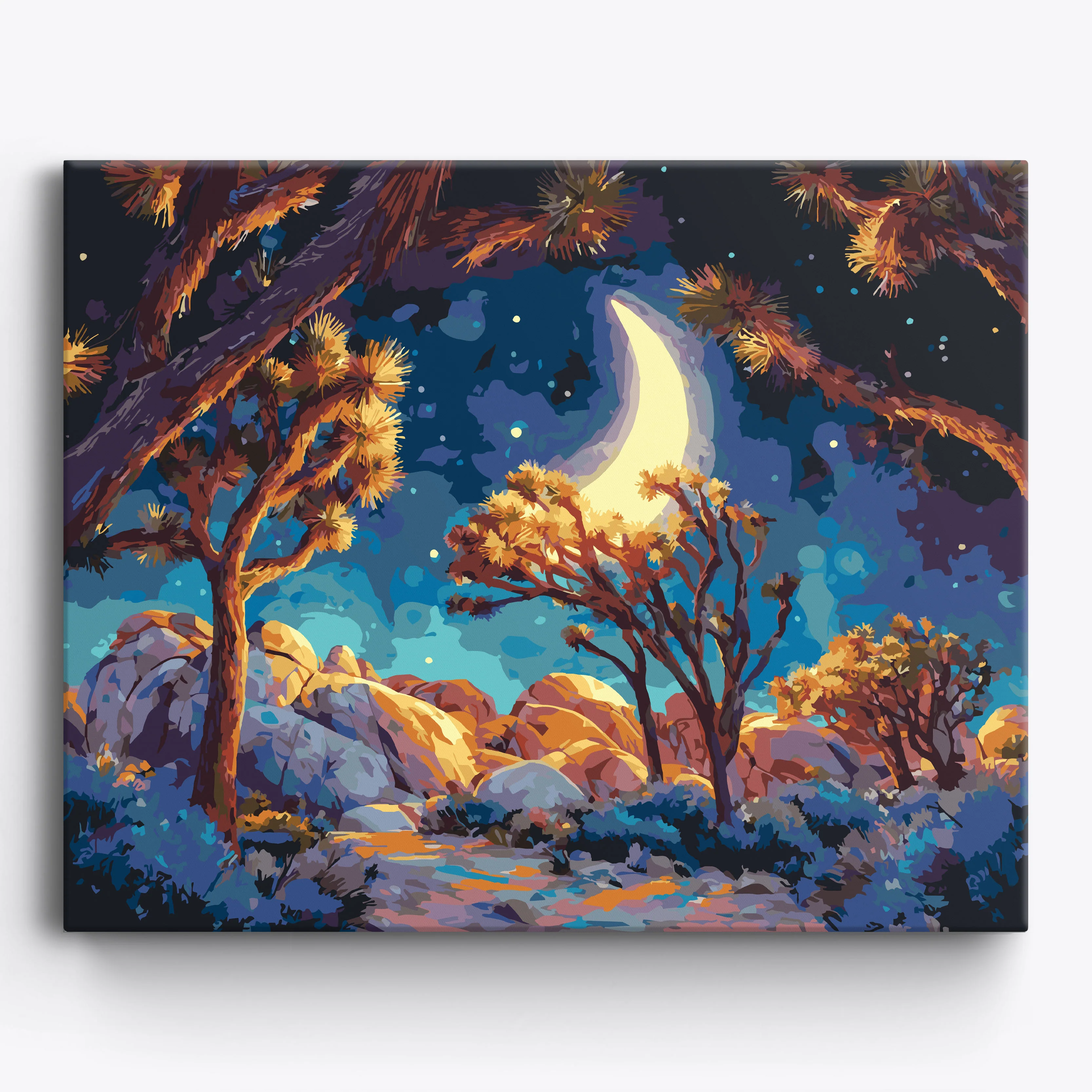 Joshua Tree Dreams