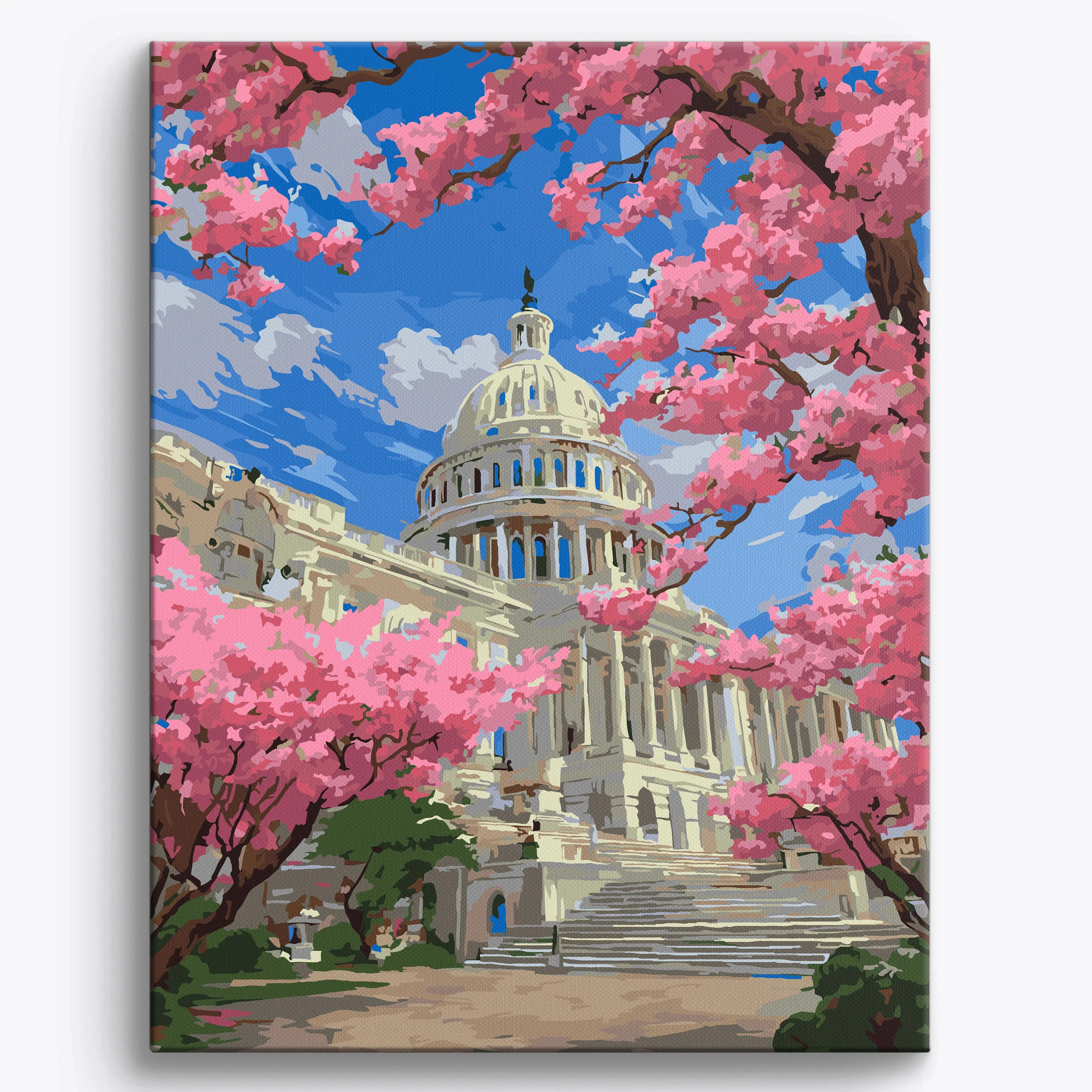 Washington Spring Bloom