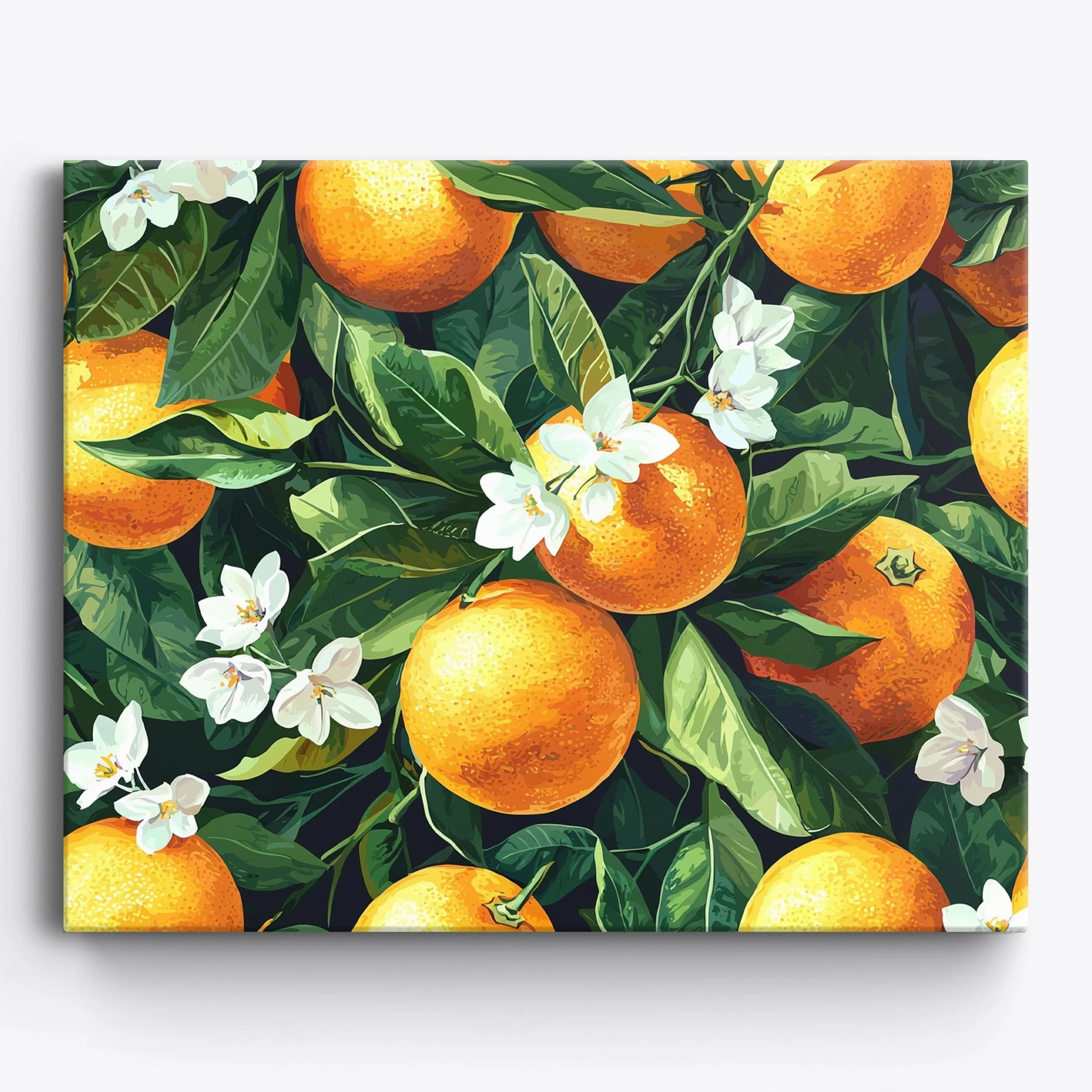 Citrus Grove Harmony