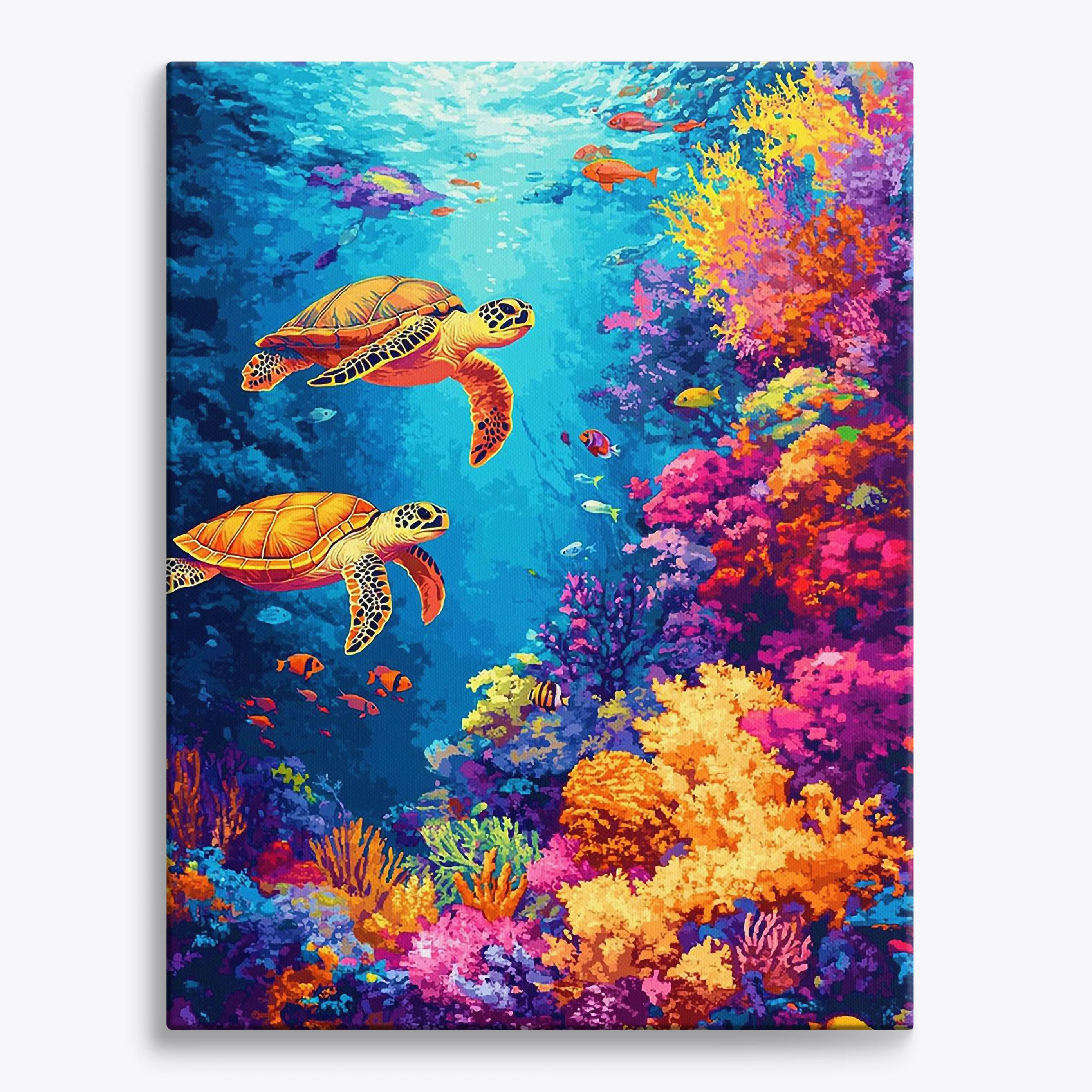 Coral Cove