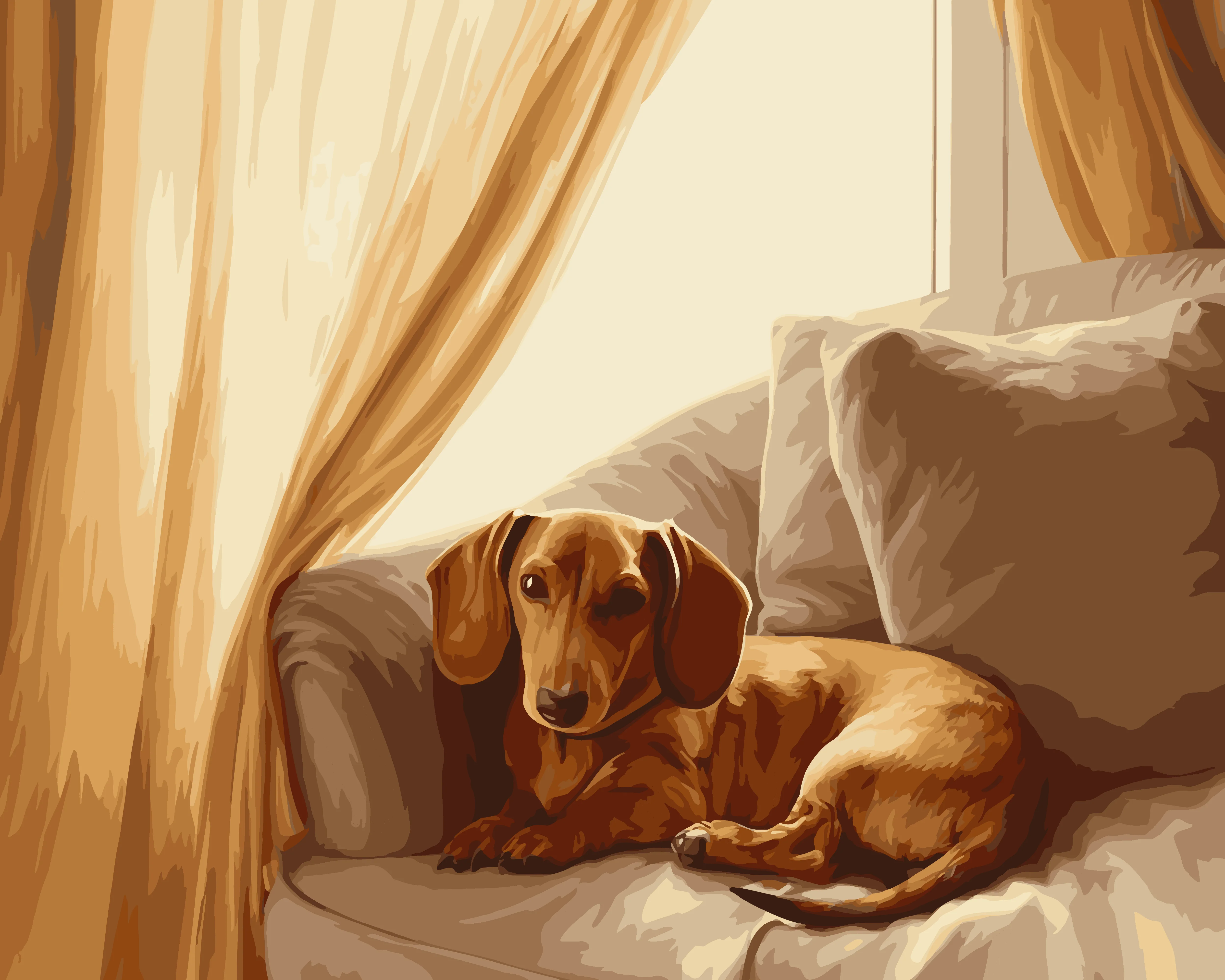 Dachshund Gaze - Image 3