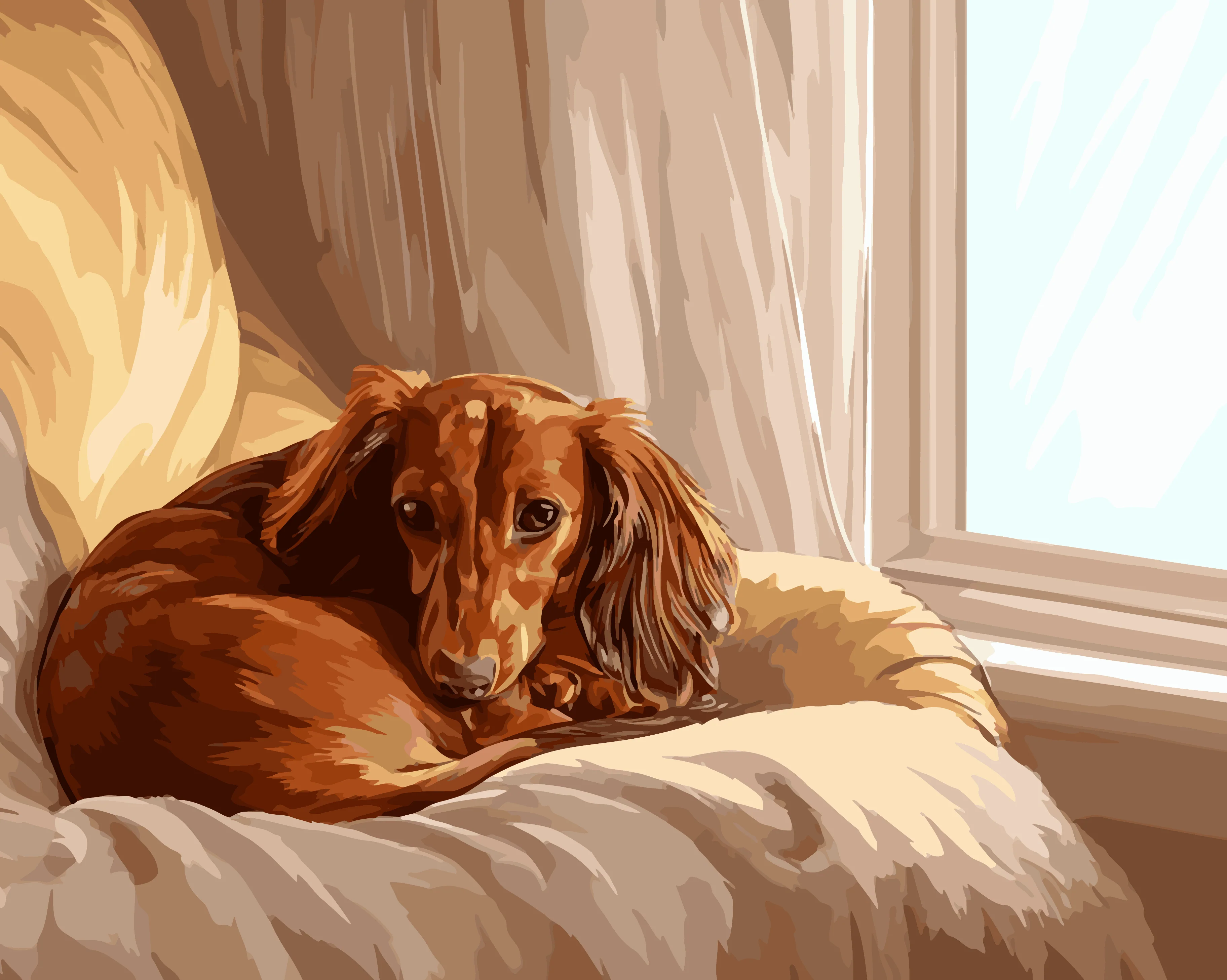 Dachshund Delight - Image 3