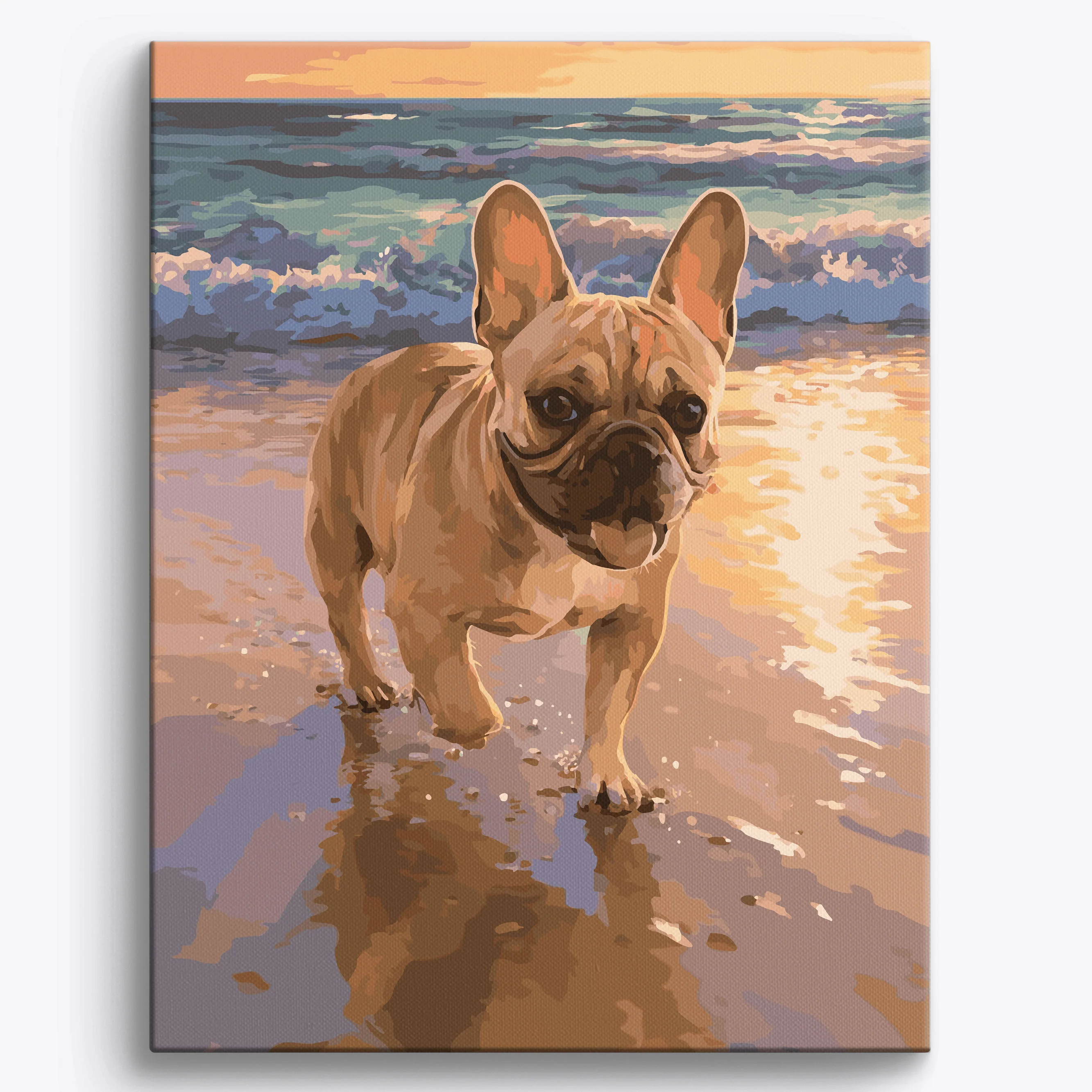 French Bulldog Beach - Image 2