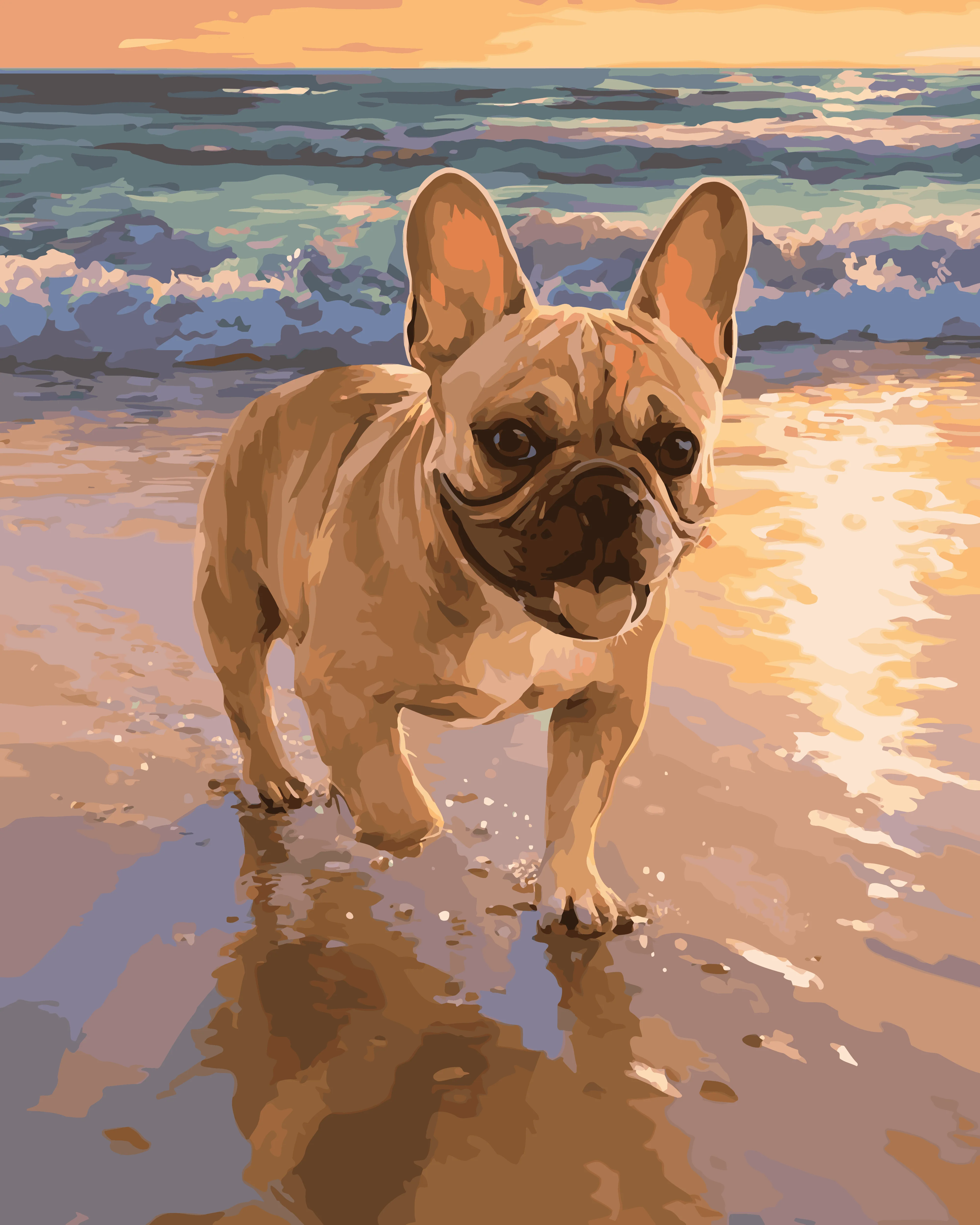 French Bulldog Beach - Image 3