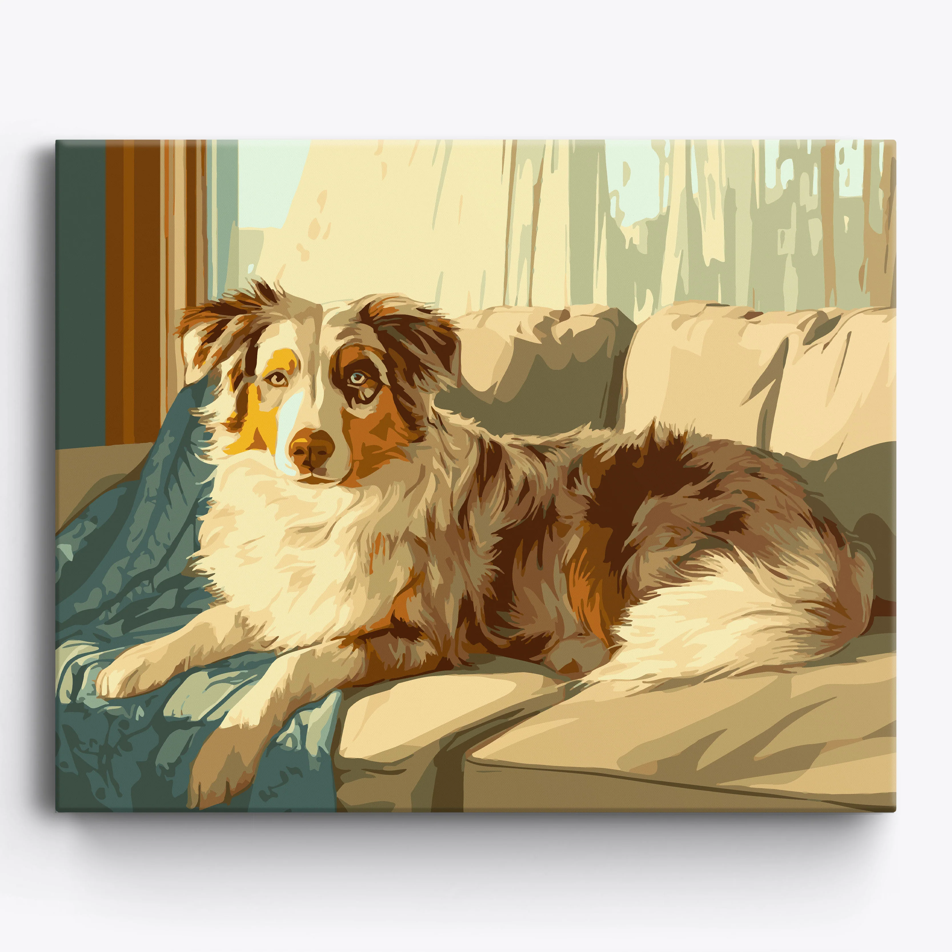 Australian Shepherd Shadows