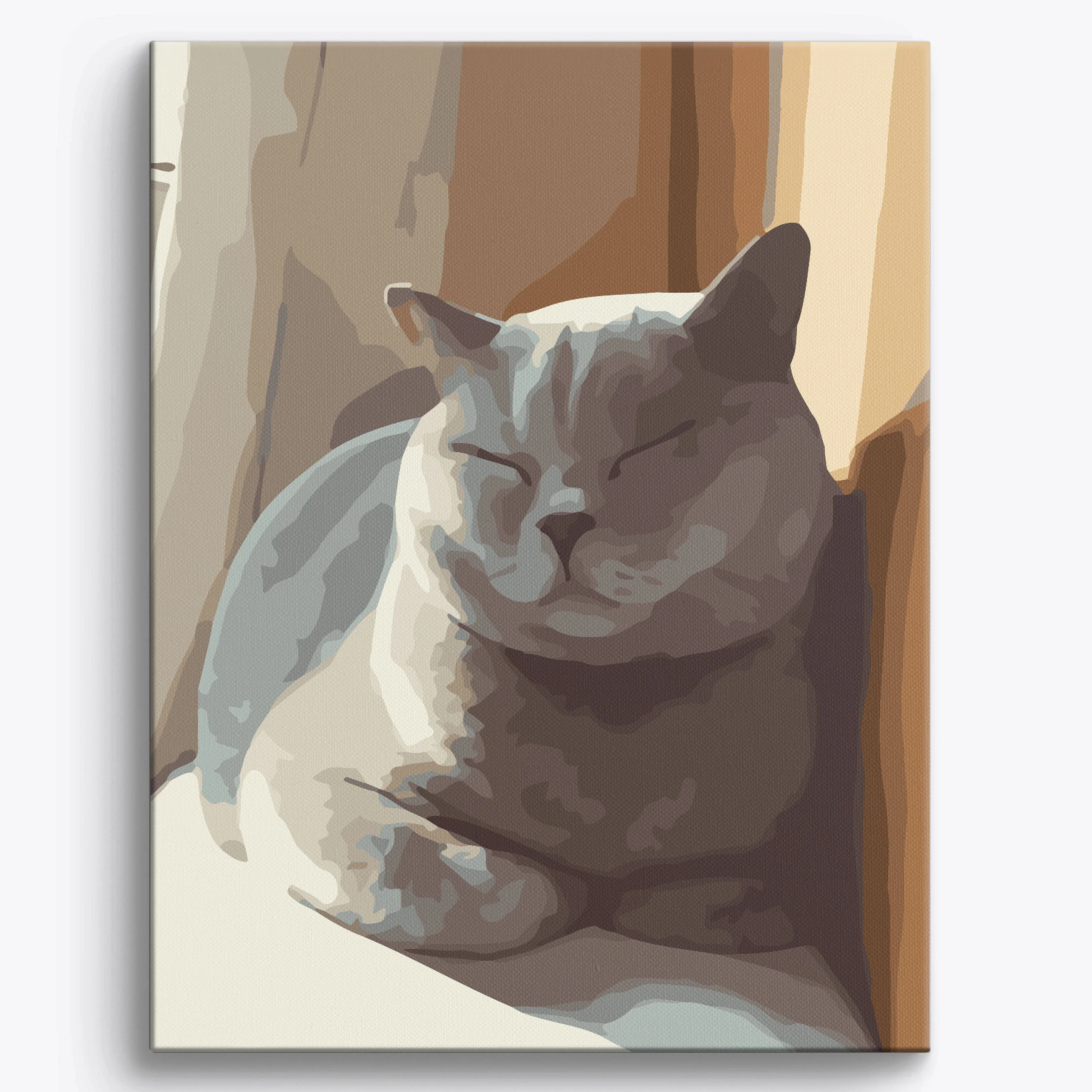 Sleeping British Shorthair - Image 2