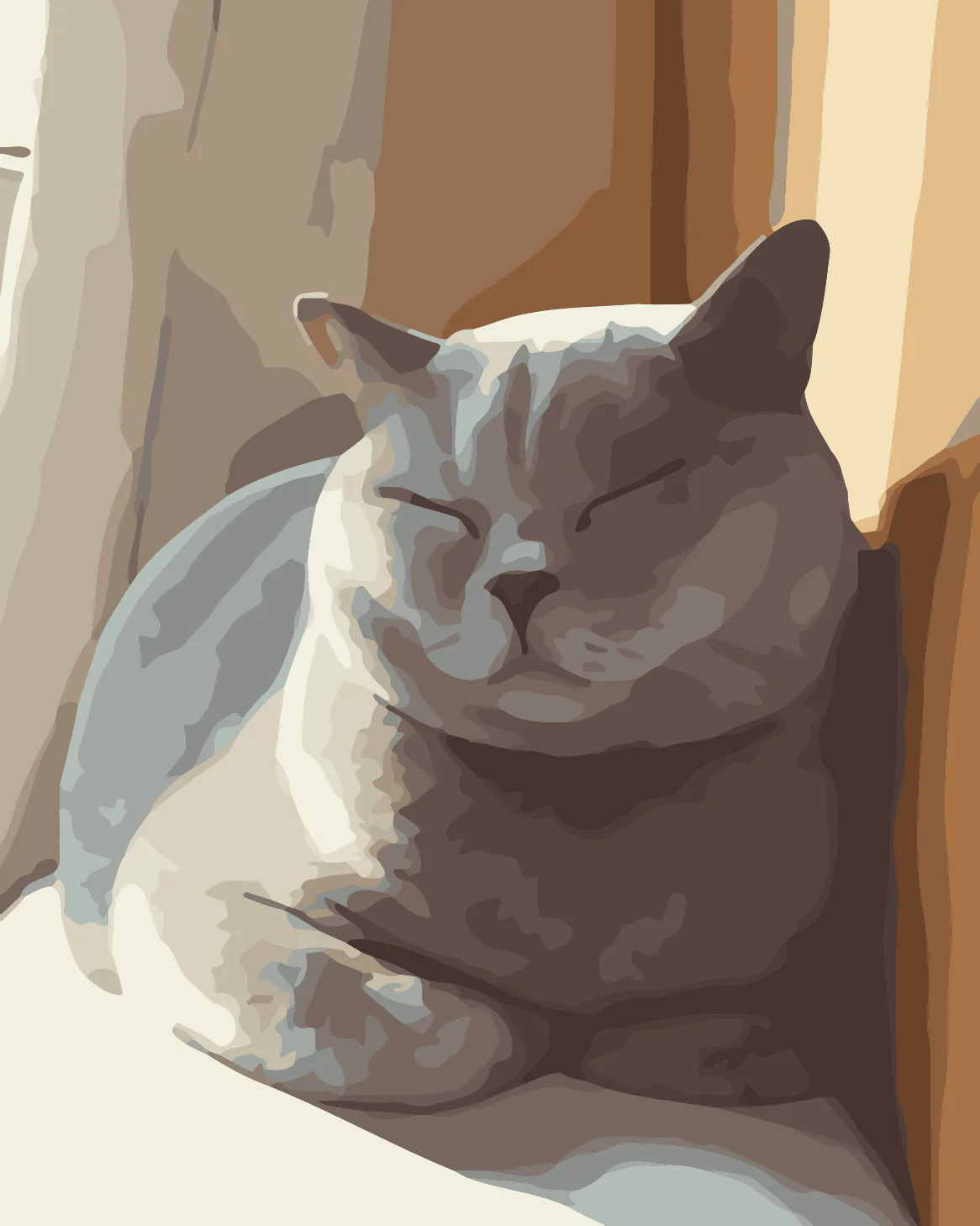 Sleeping British Shorthair - Image 3