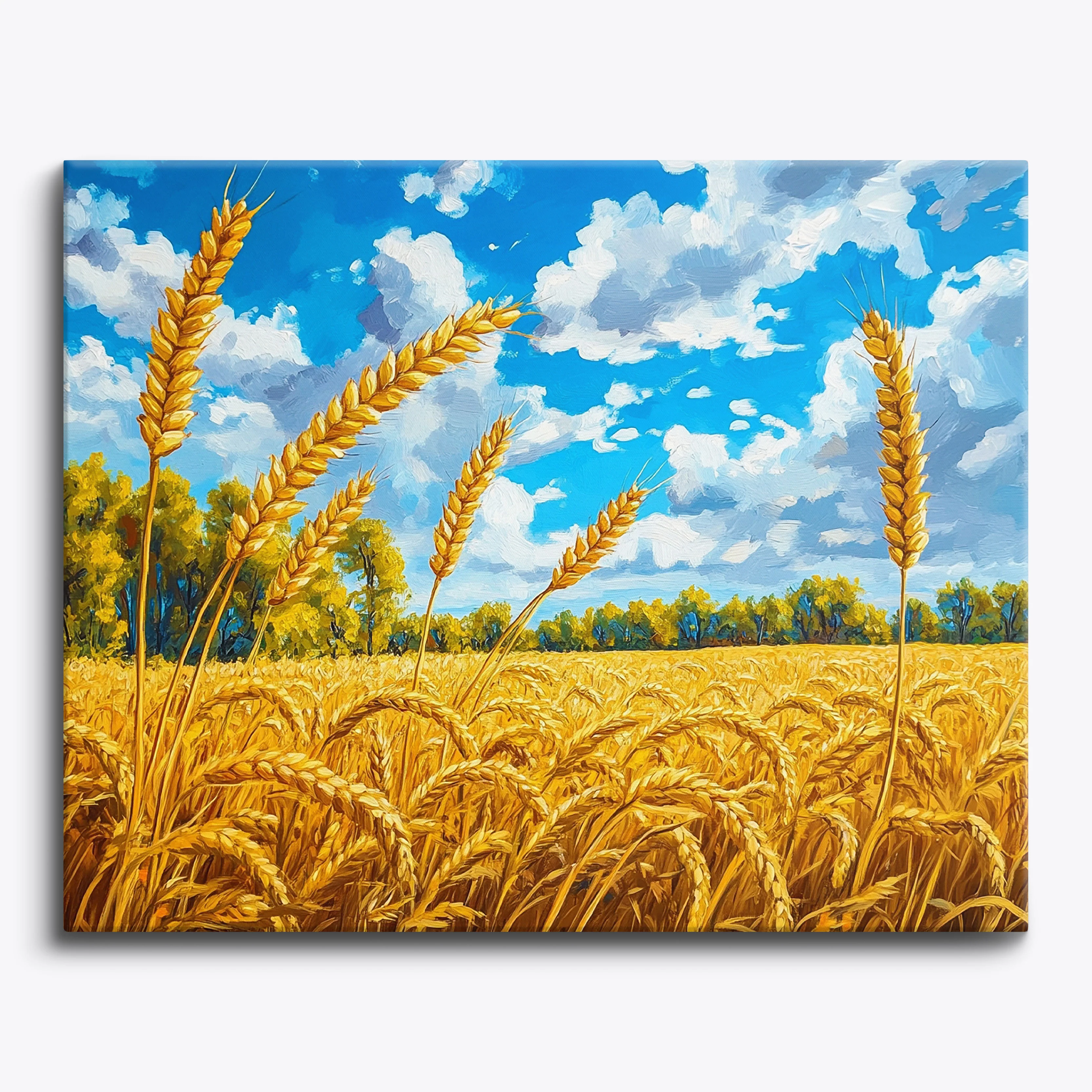 Golden Fields
