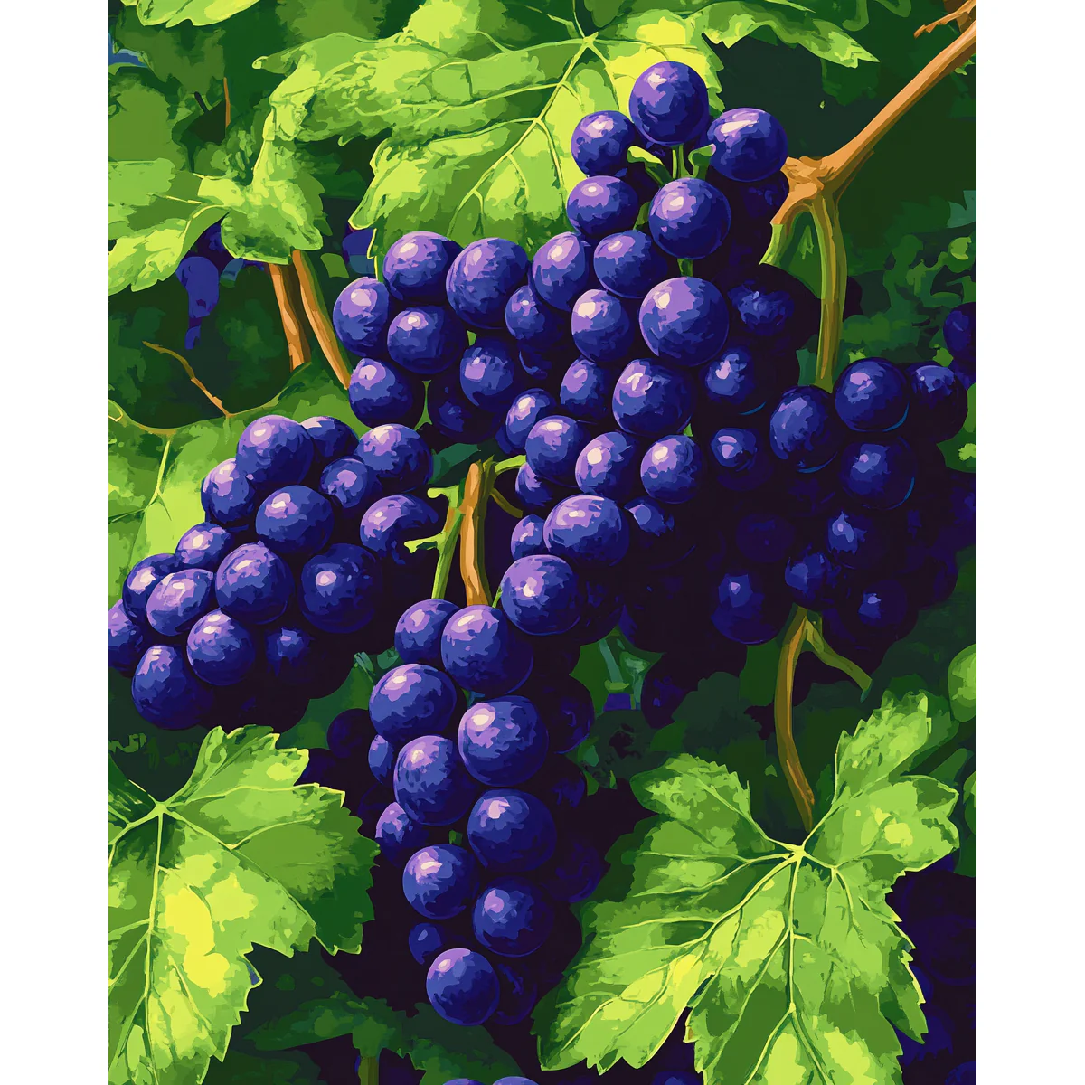 Grape Elegance - Image 2