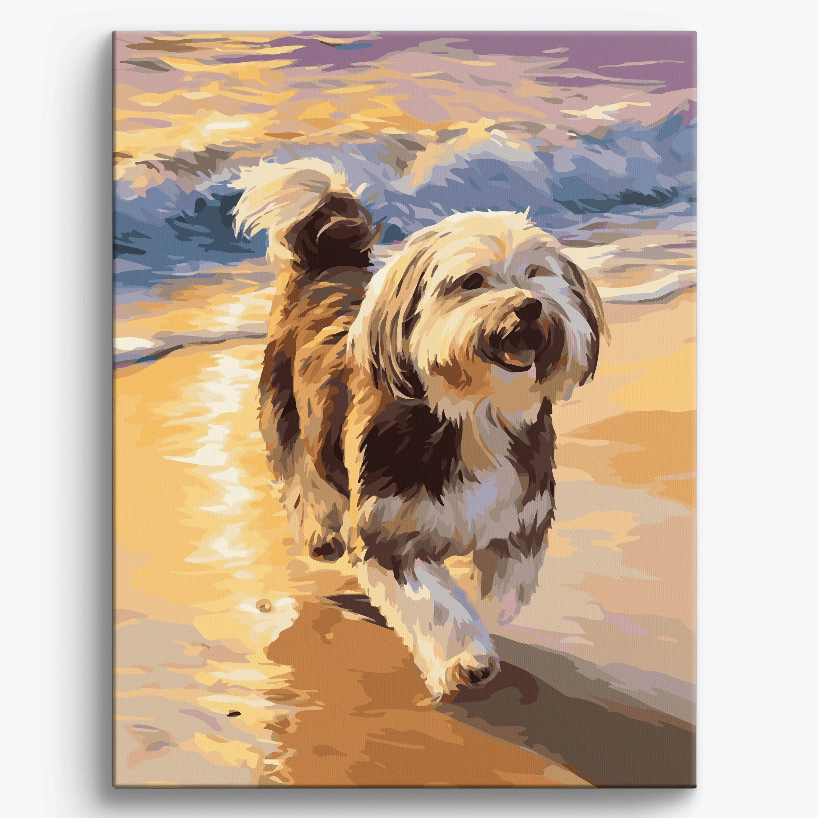 Havanese Beach - Image 2