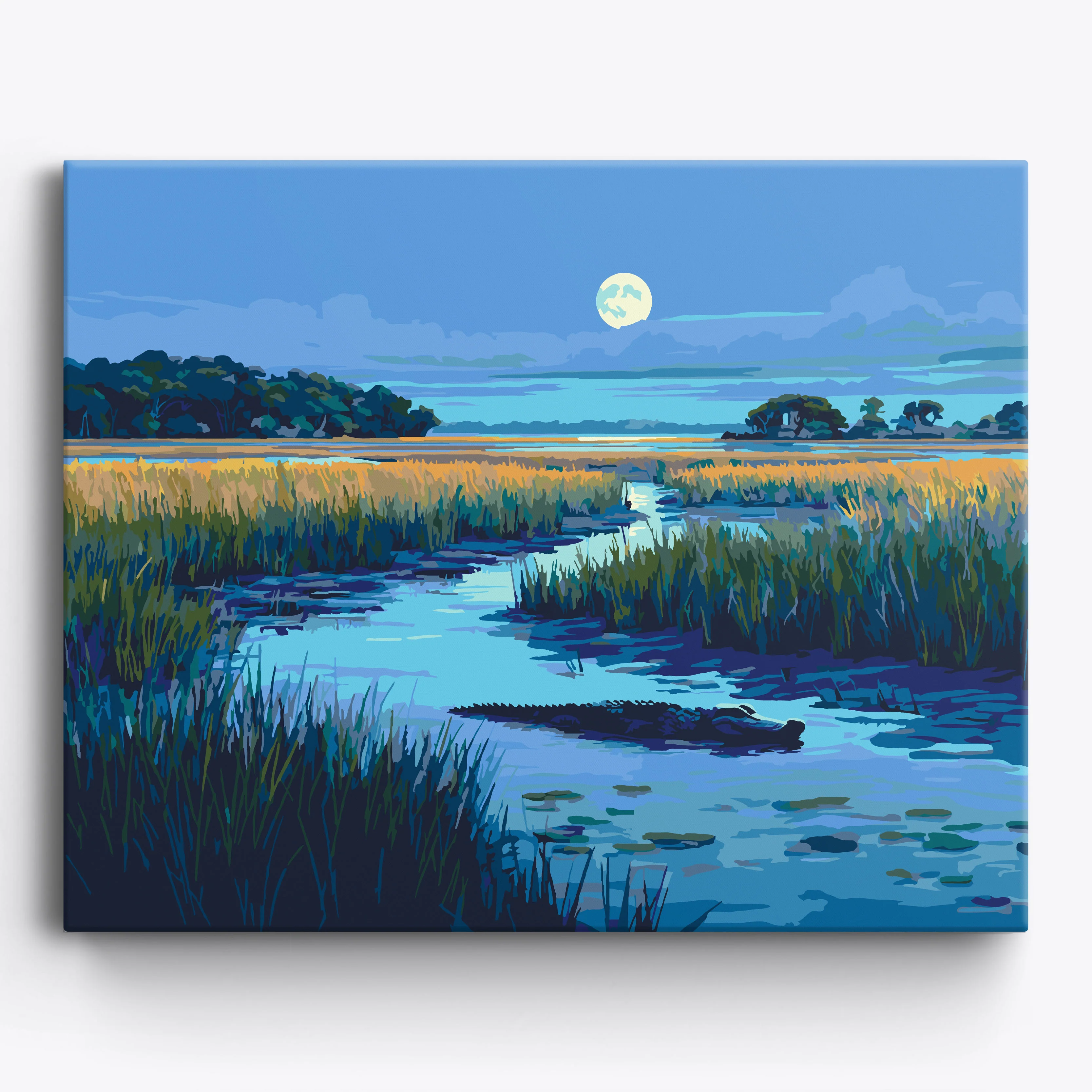 Everglades Moonlight
