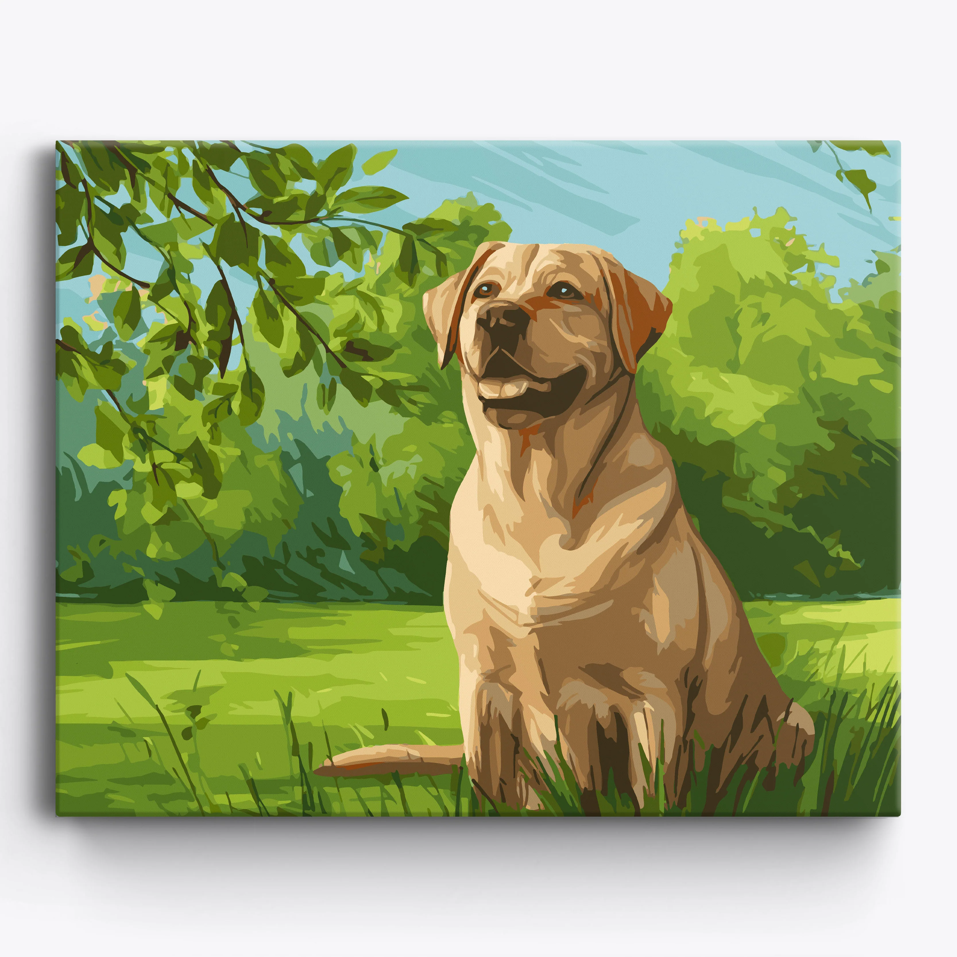Labrador Retriever Meadow