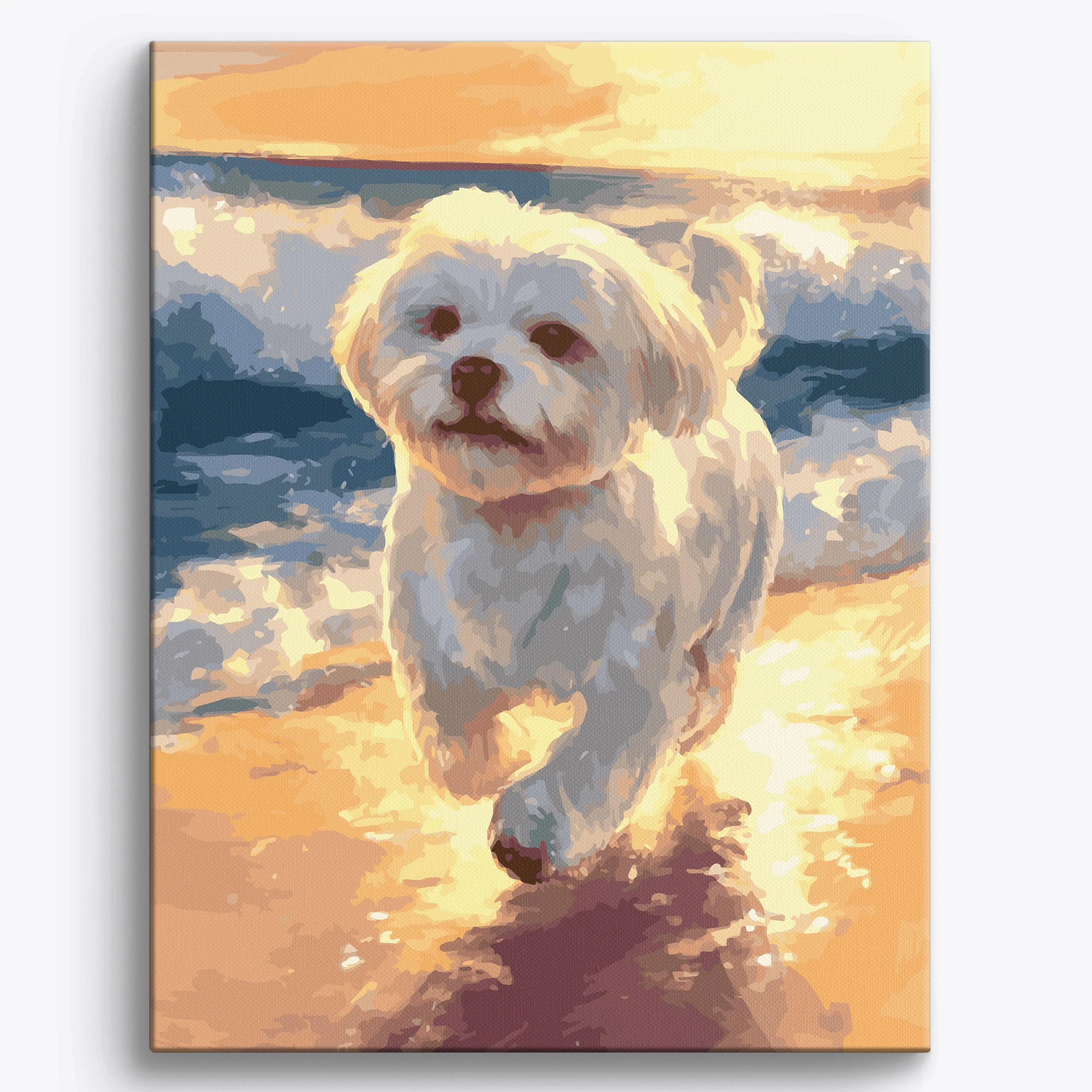 Skipping Maltese