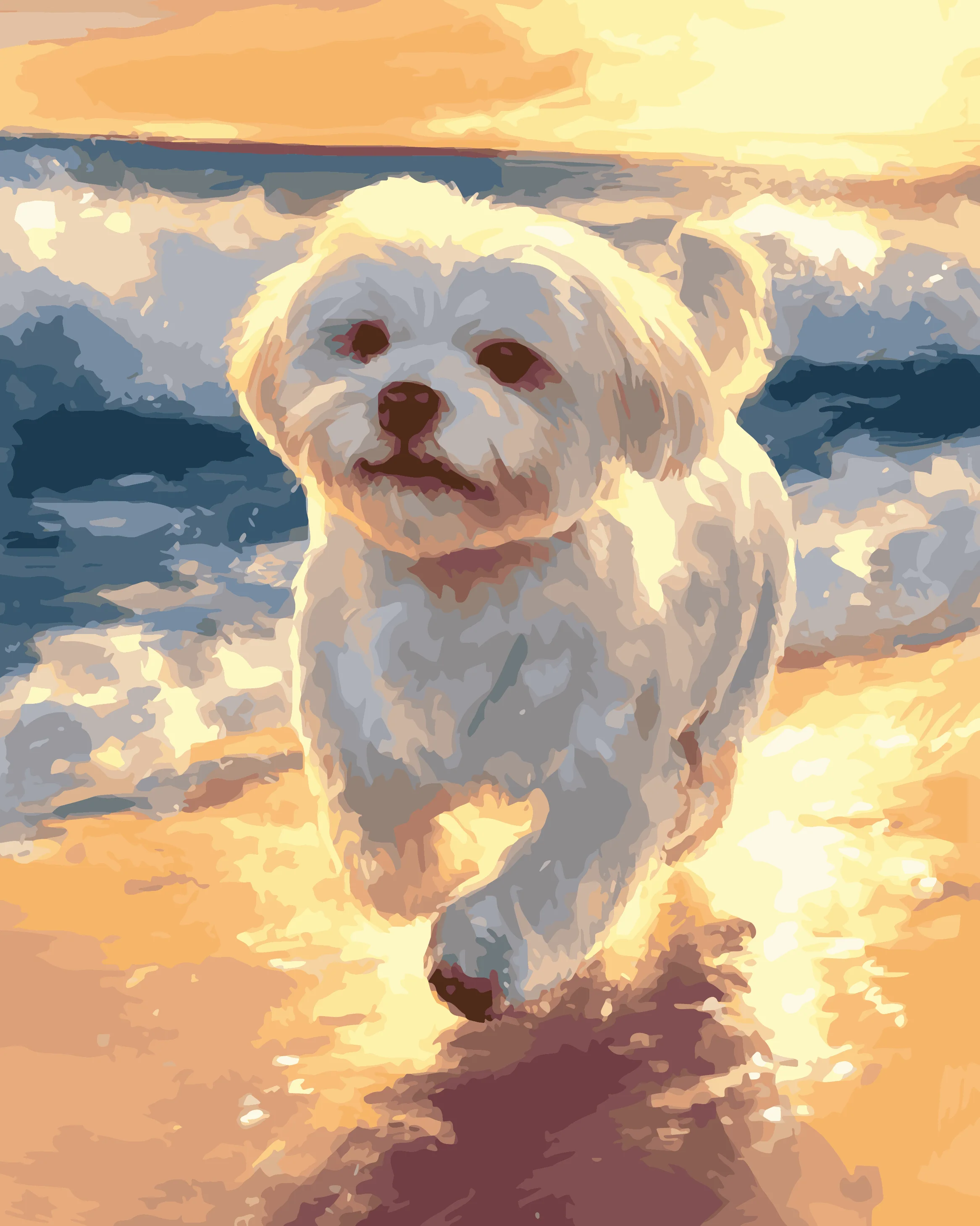 Skipping Maltese - Image 3