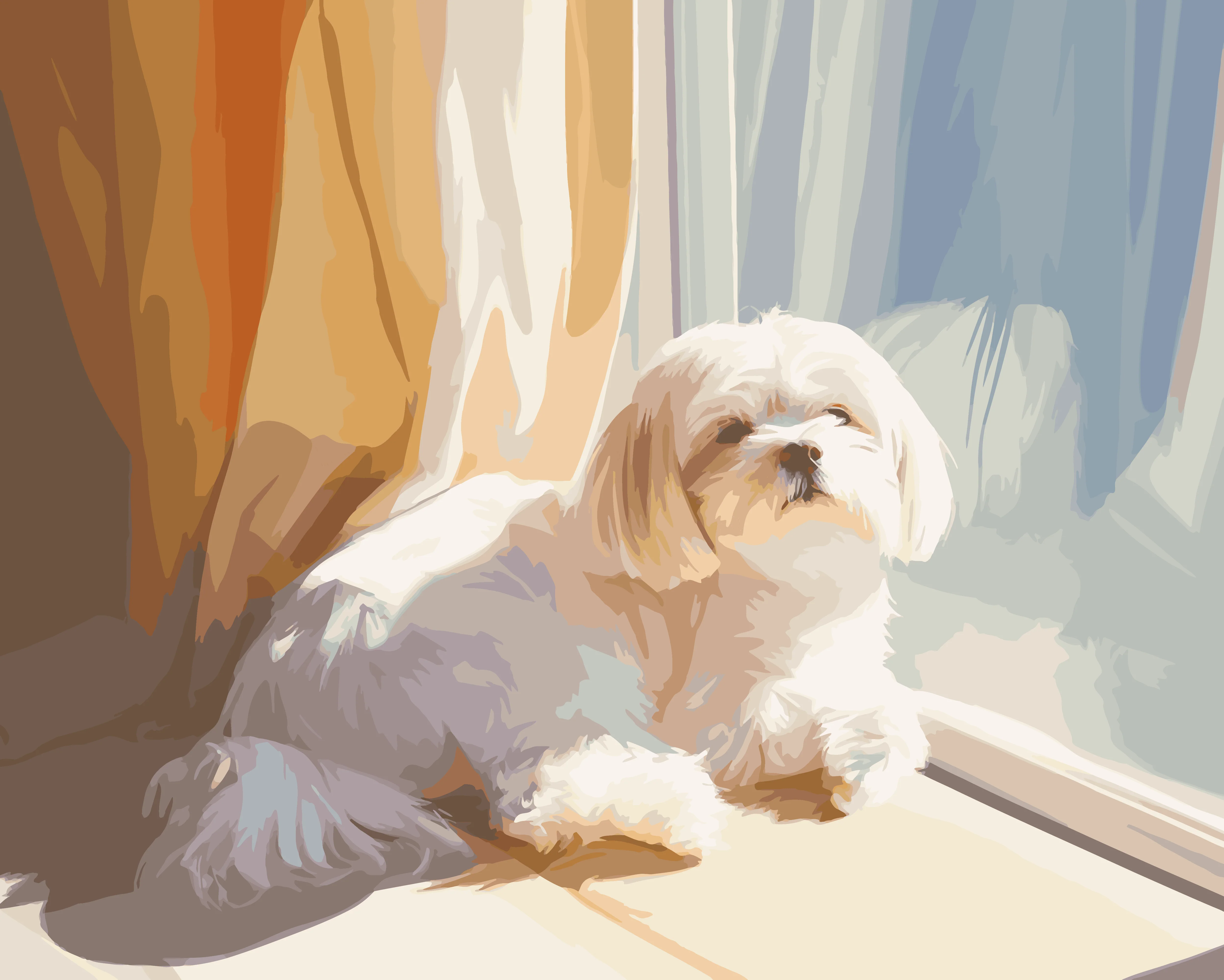 Maltese Window - Image 3