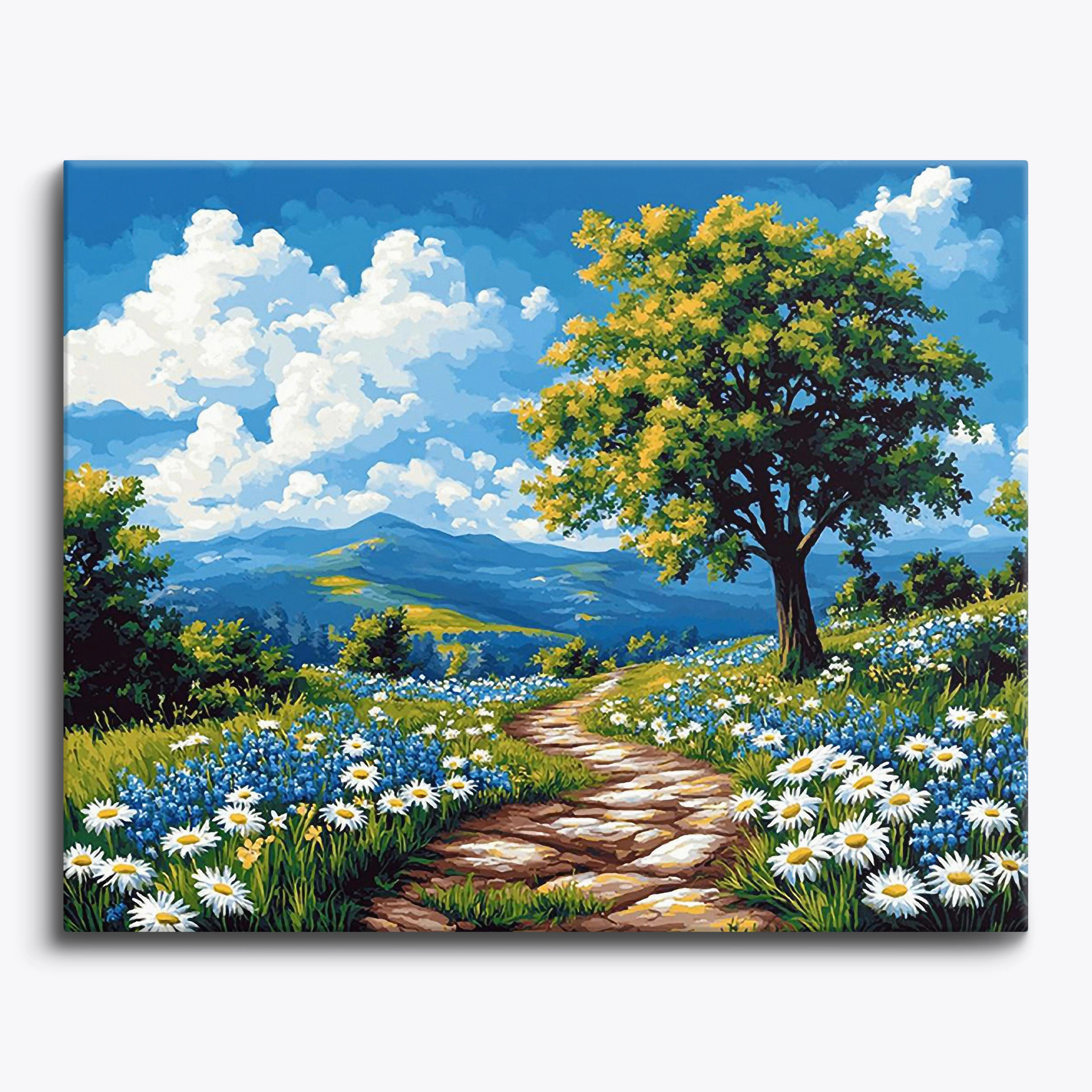 Meadow Path