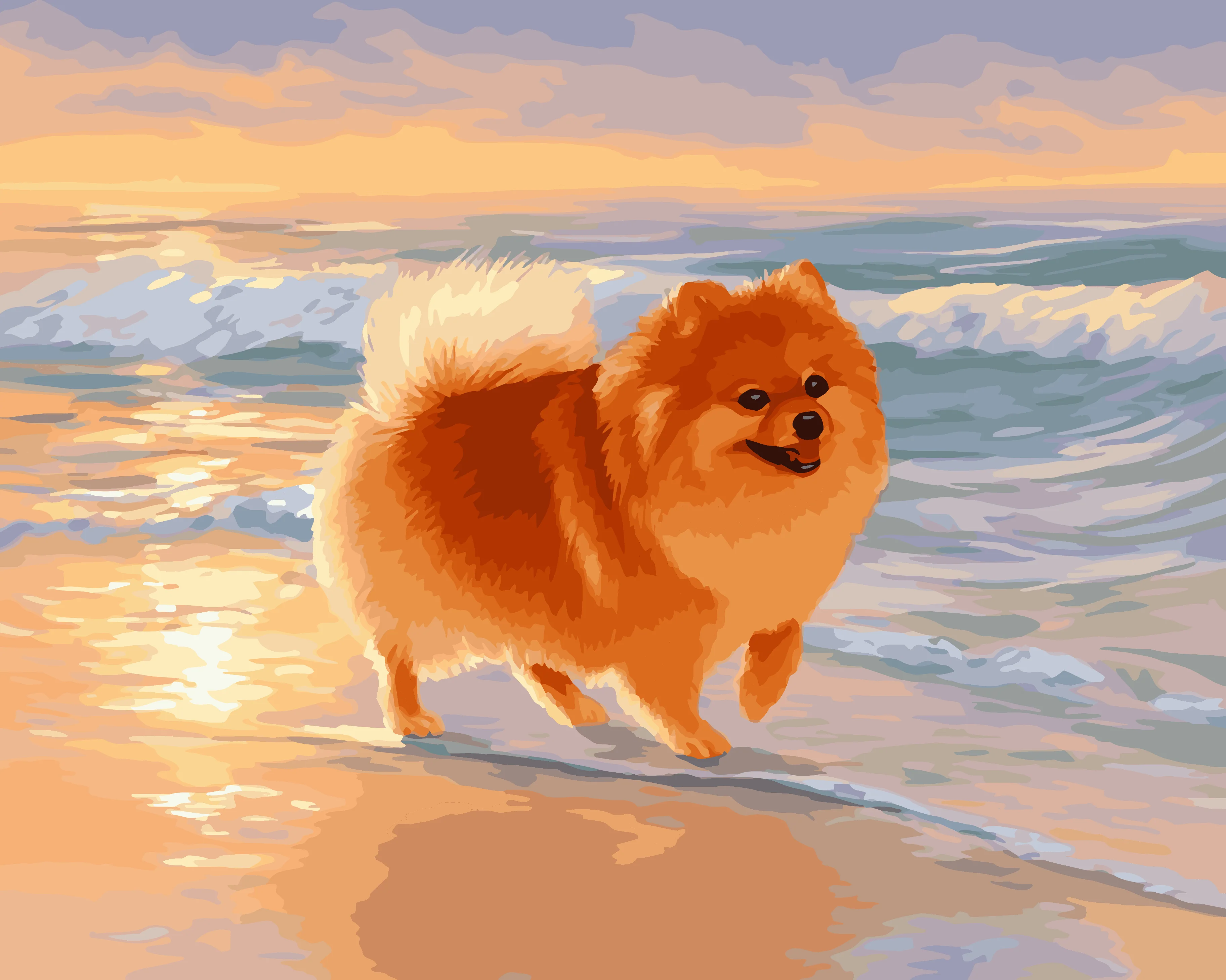 Pomeranian Beach - Image 3