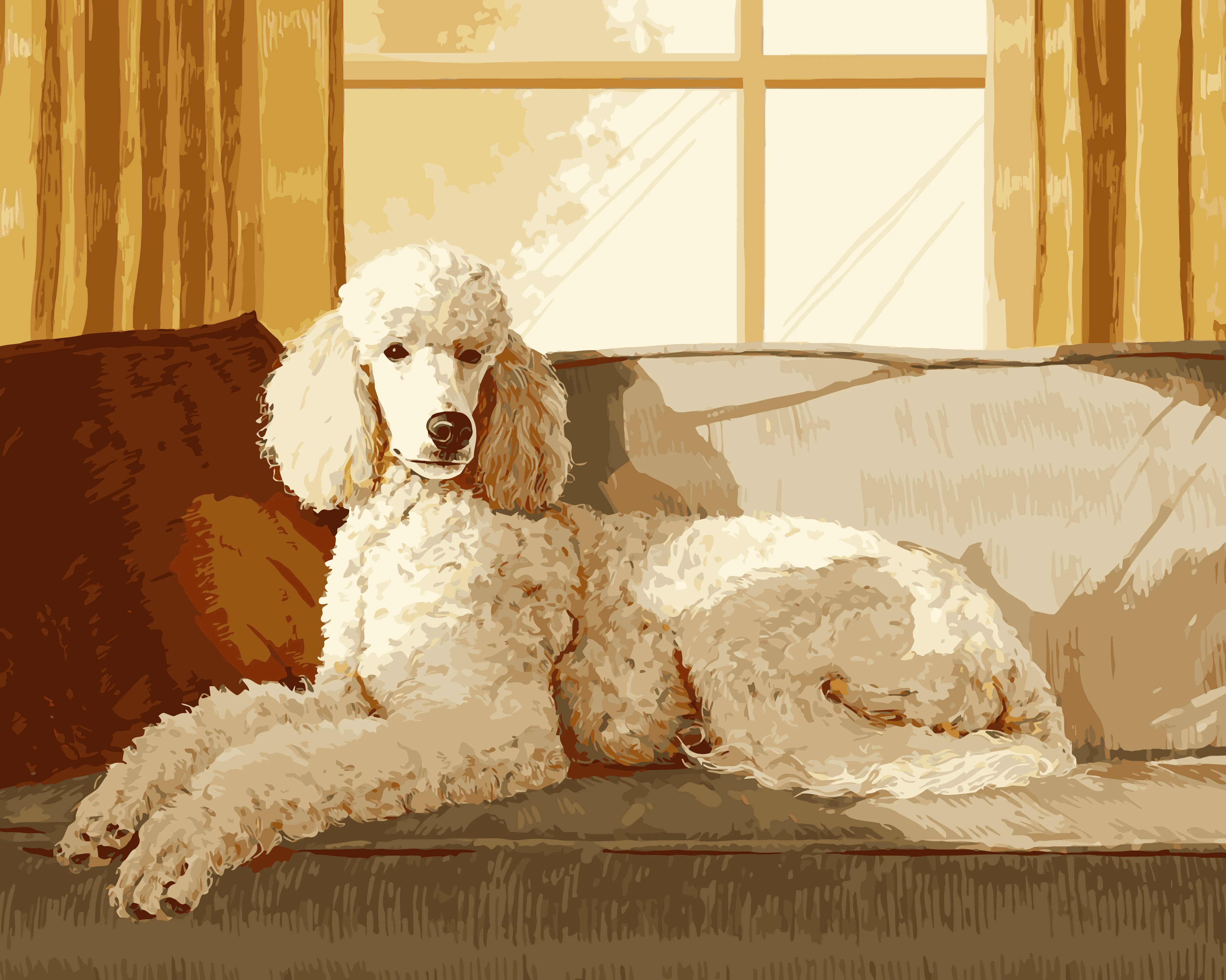 Comfy Poodle - Image 3