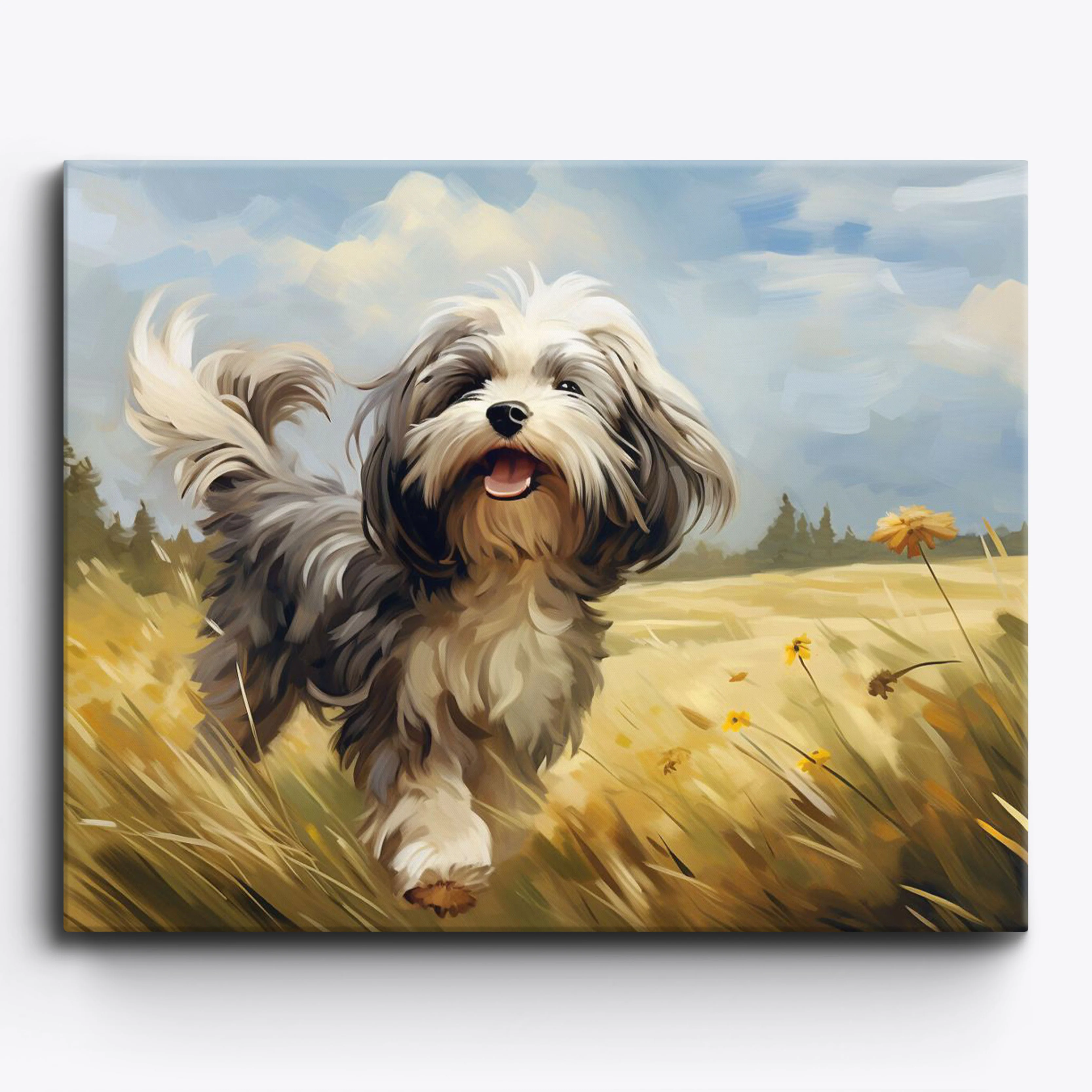 Prancing In Sunlight A Havanese Tale