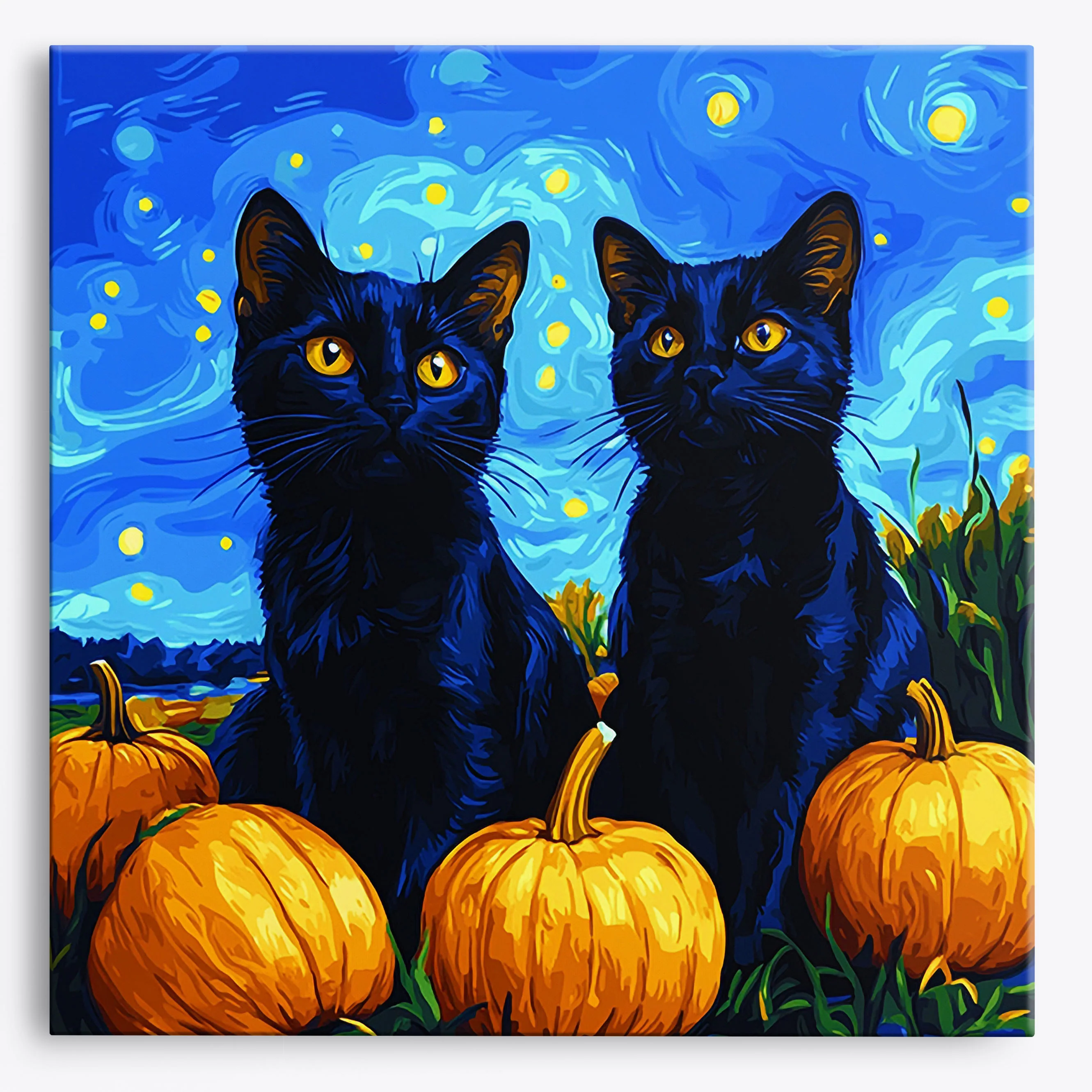 Radiant Cat Play