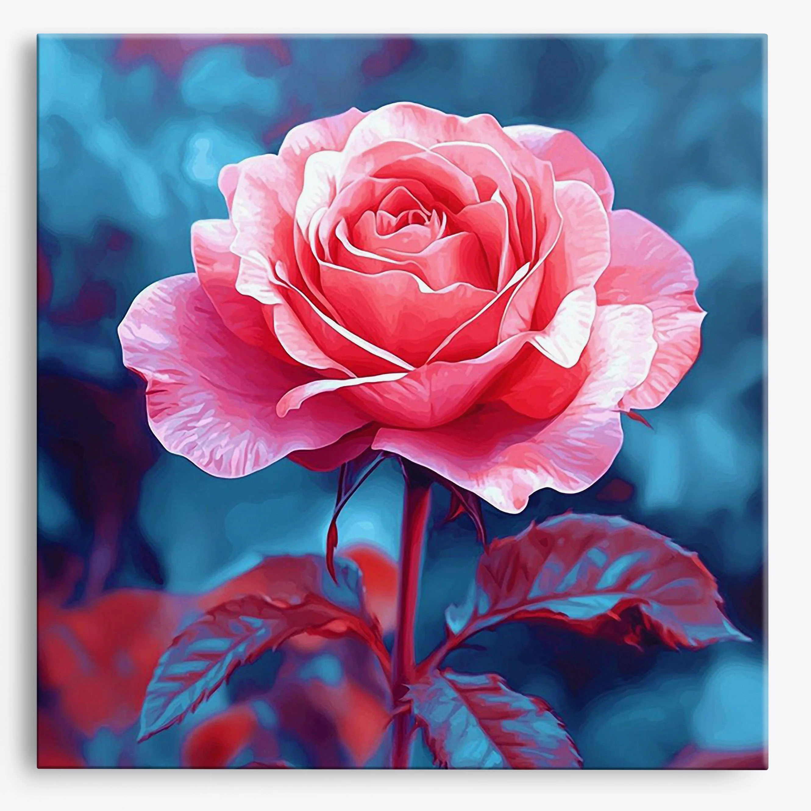 Rose Radiance