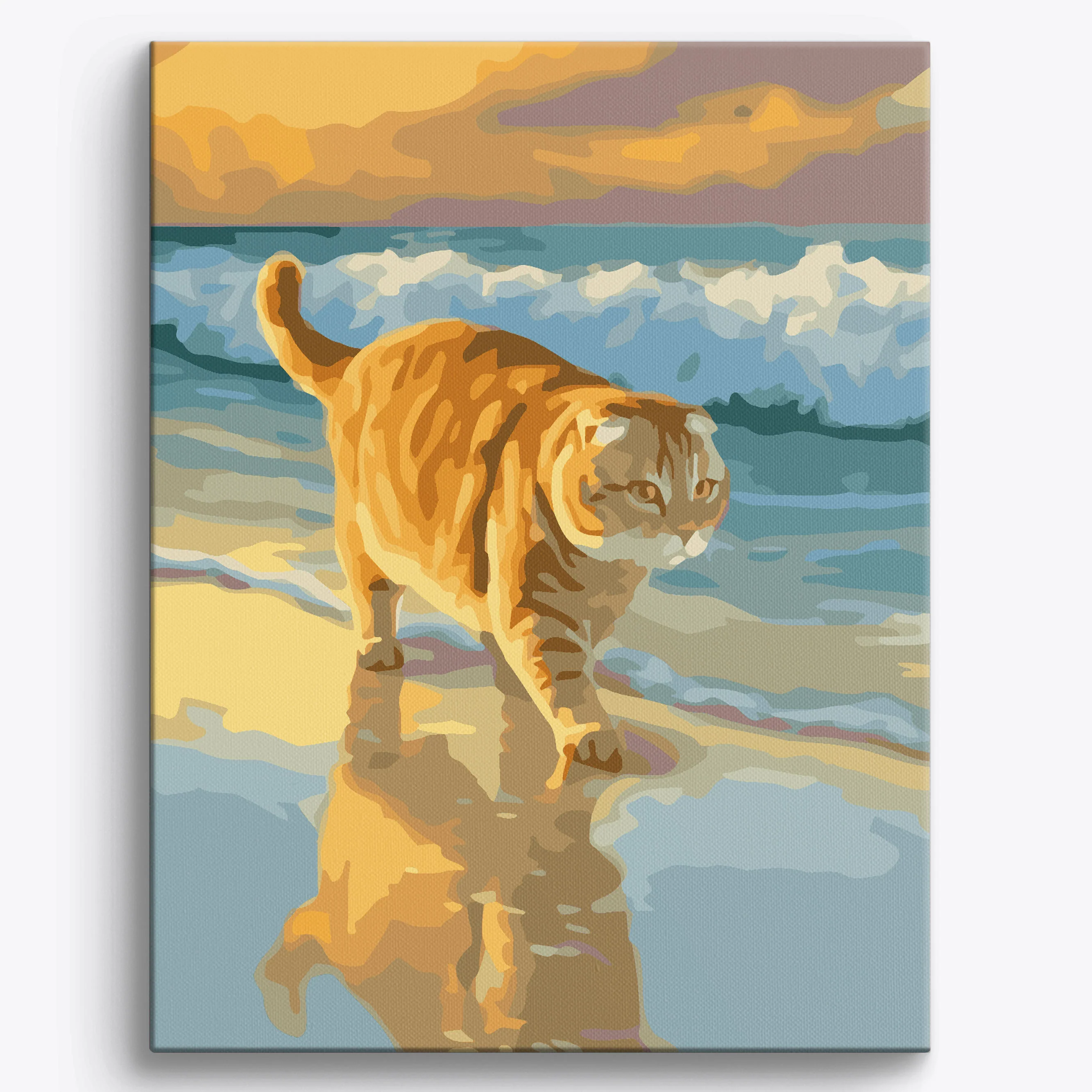 Scottish Fold Beach - Image 2