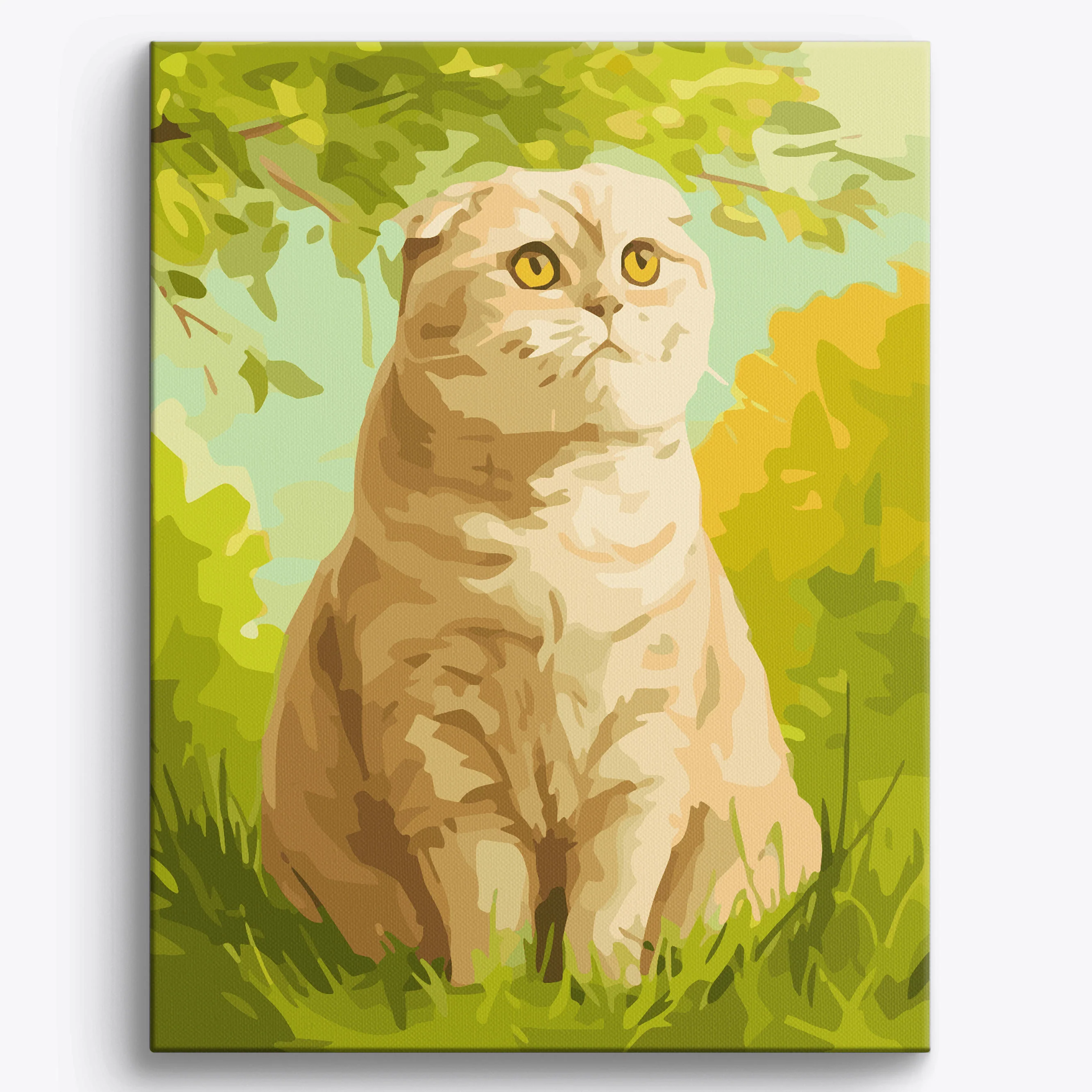 Scottish Fold Garden - Image 2