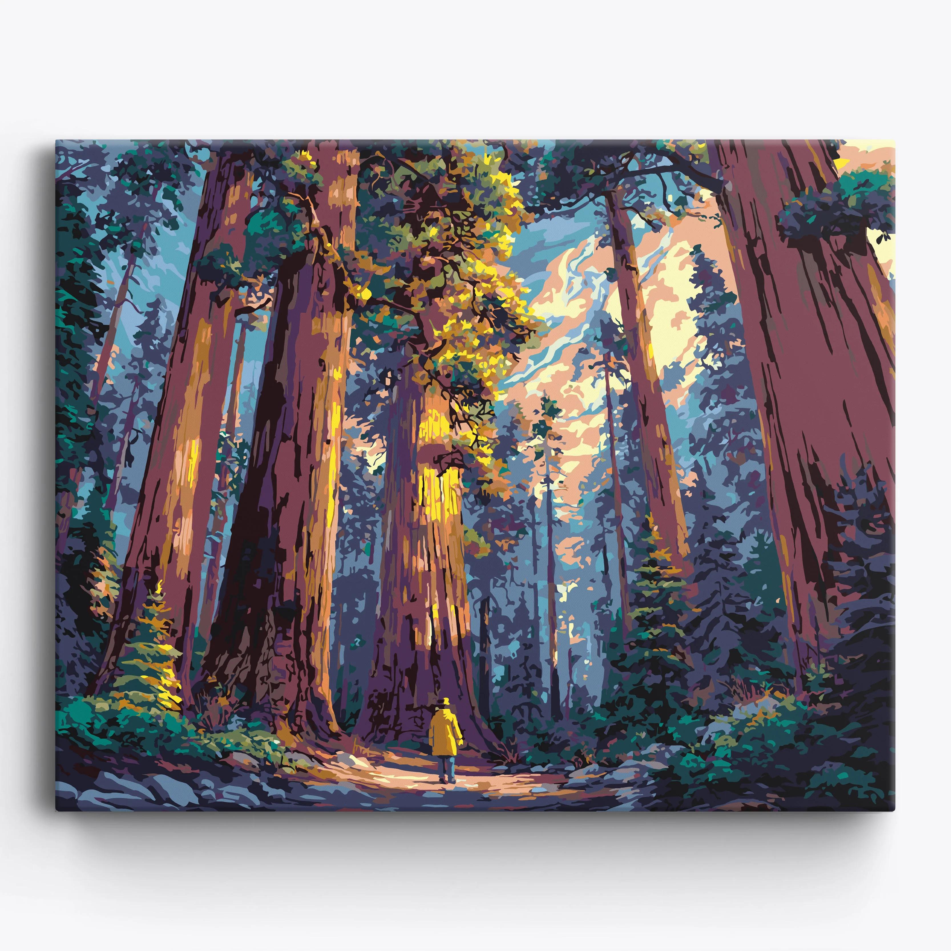 Redwood Corridor