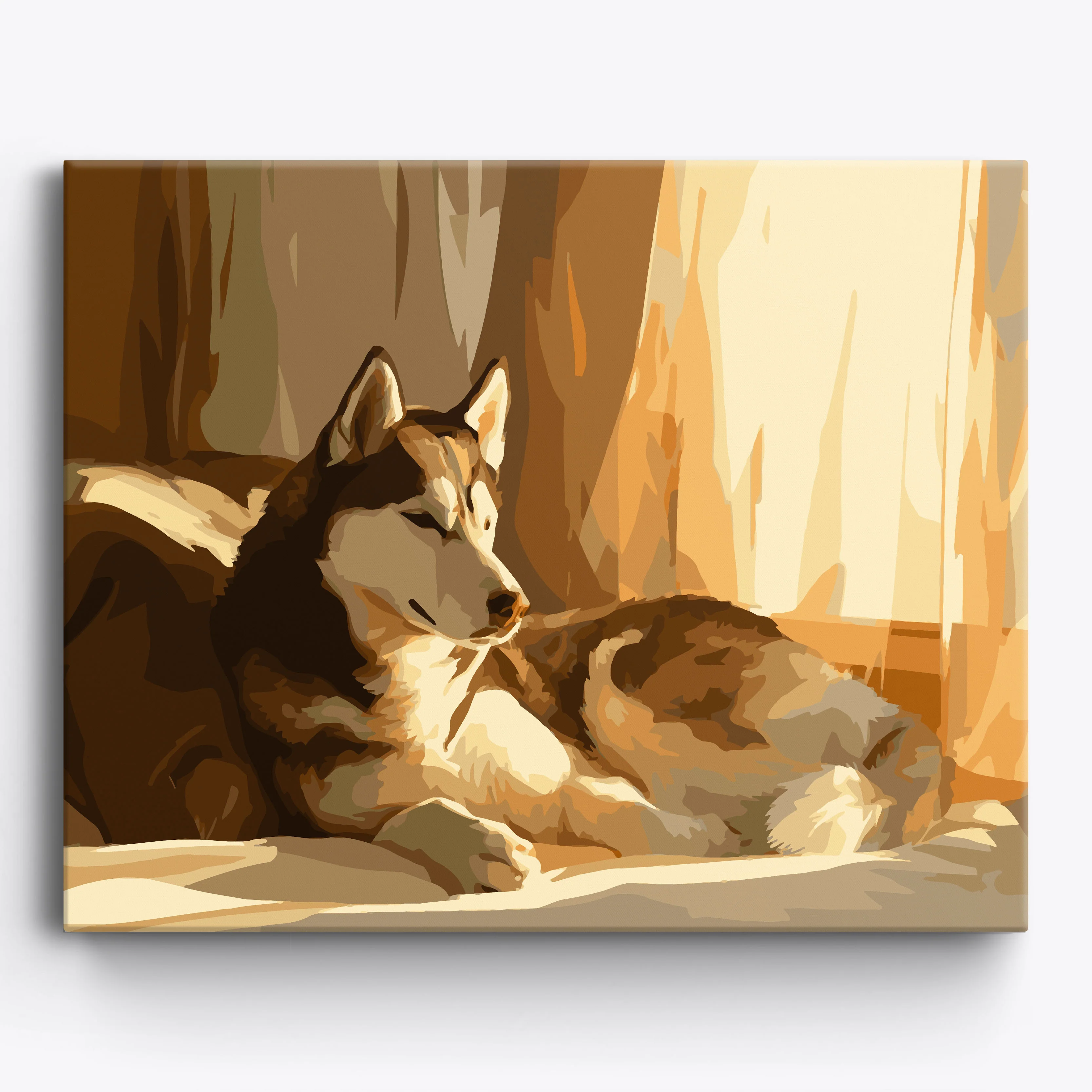 Sleepy Siberian Husky