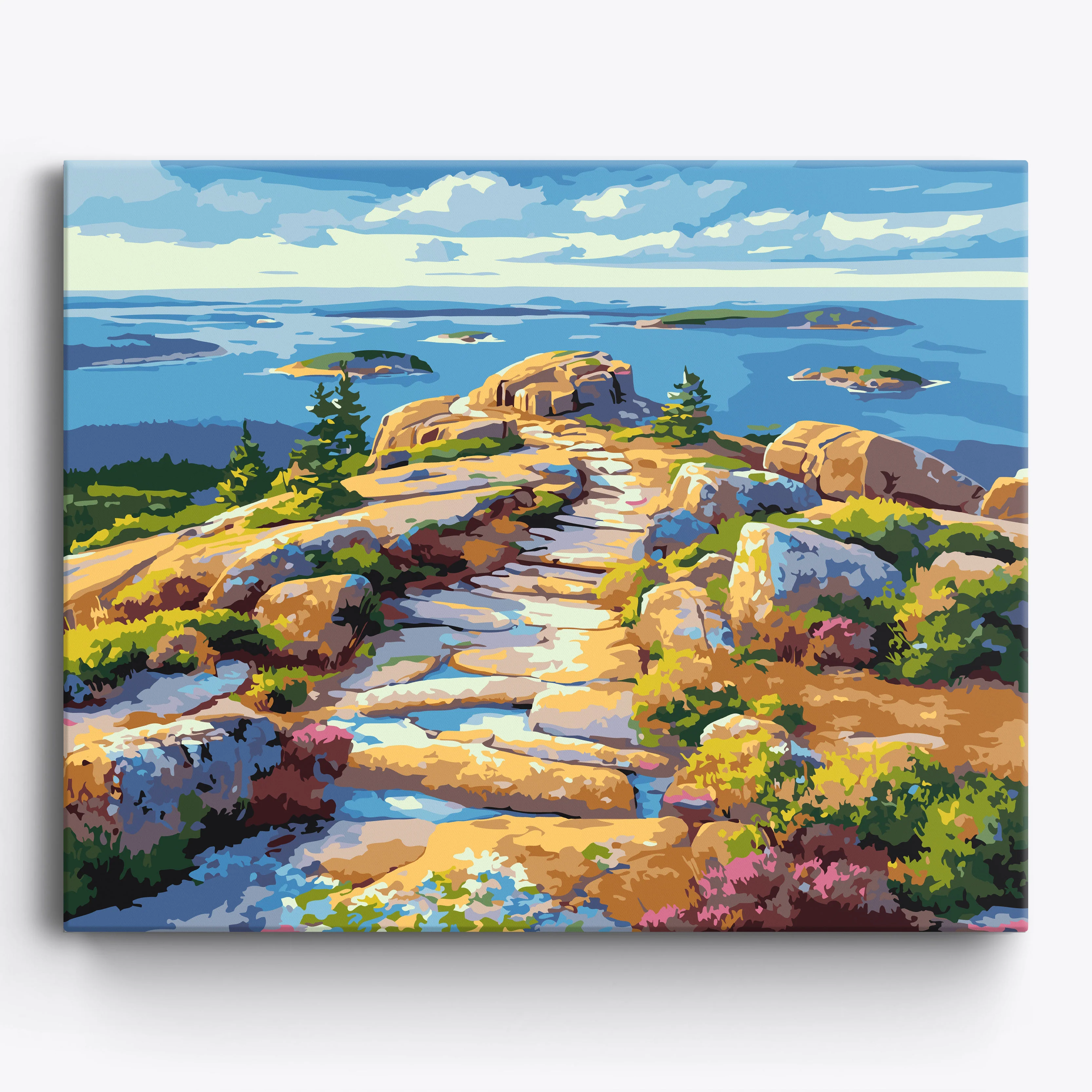 Acadia Cliffs