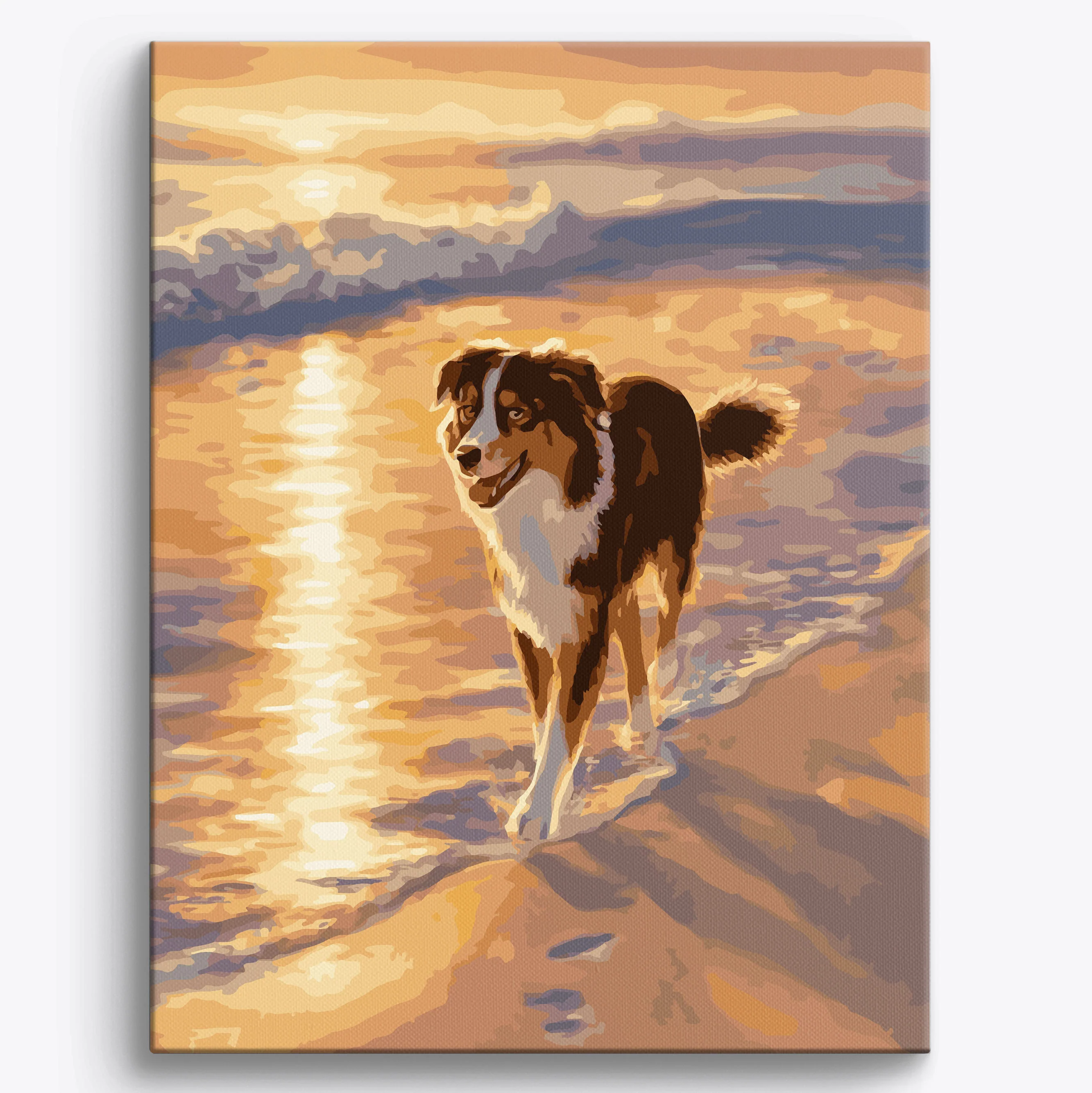 Australian Shepherd Shoreline - Image 2