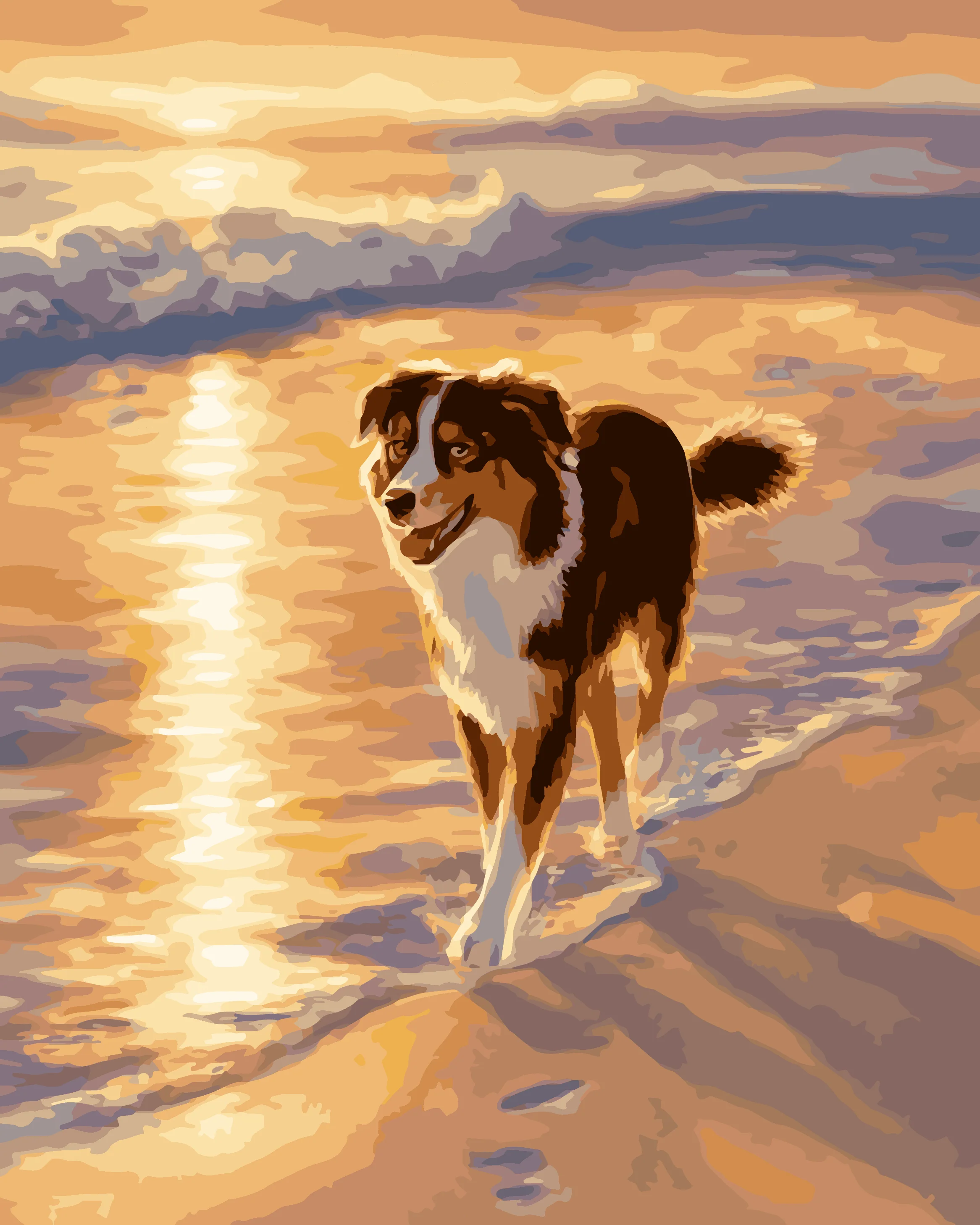 Australian Shepherd Shoreline - Image 3